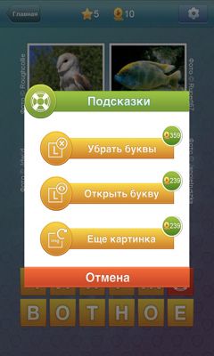 What the word? для Android