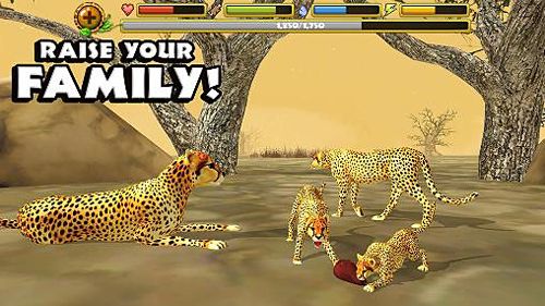 Simulator: Lade Gepard Simulator für dein Handy herunter