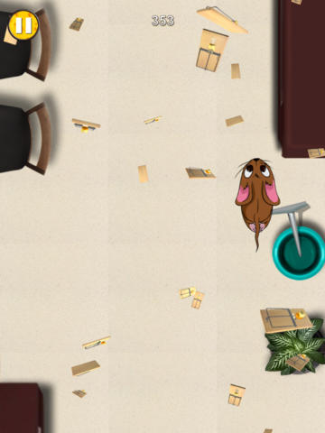 Mouse Chase for iPhone for free