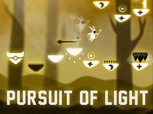 logo Pursuit of light