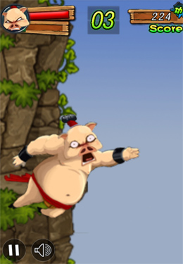 Kung Fu Master: Pig for iPhone