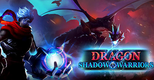 Dragon shadow warriors: Last stickman fight legend icône