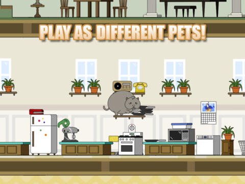 Clumsy Cat for iPhone for free
