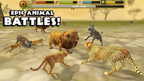 Cheetah simulator for iPhone for free