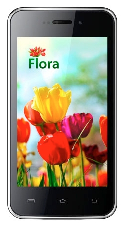 Flora