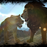 Real lion simulator ícone