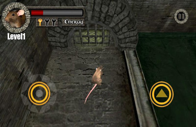 日本語のSewer Rat Run 3D! Plus 