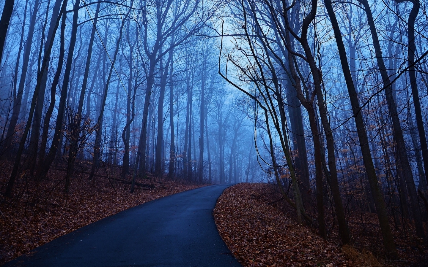 19592 скачать картинку осень, дороги, пейзаж, деревья, синие - обои и заставки бесплатно