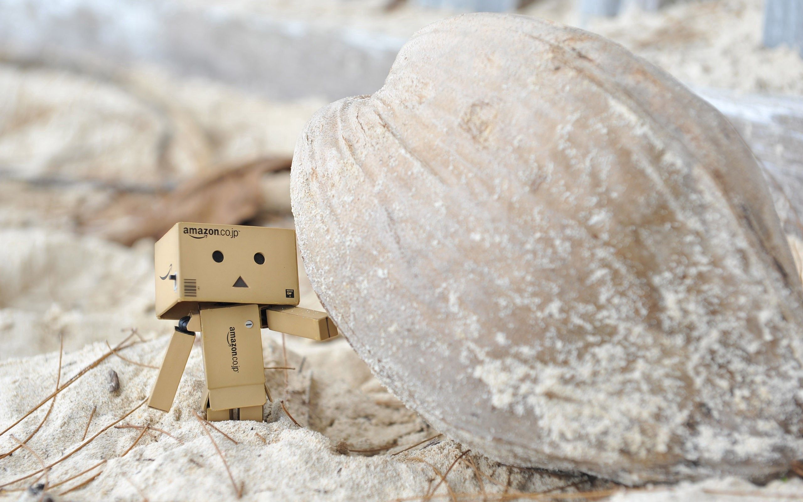 Mobile wallpaper sand, rock, miscellanea, miscellaneous, stone, cardboard robot, danboard