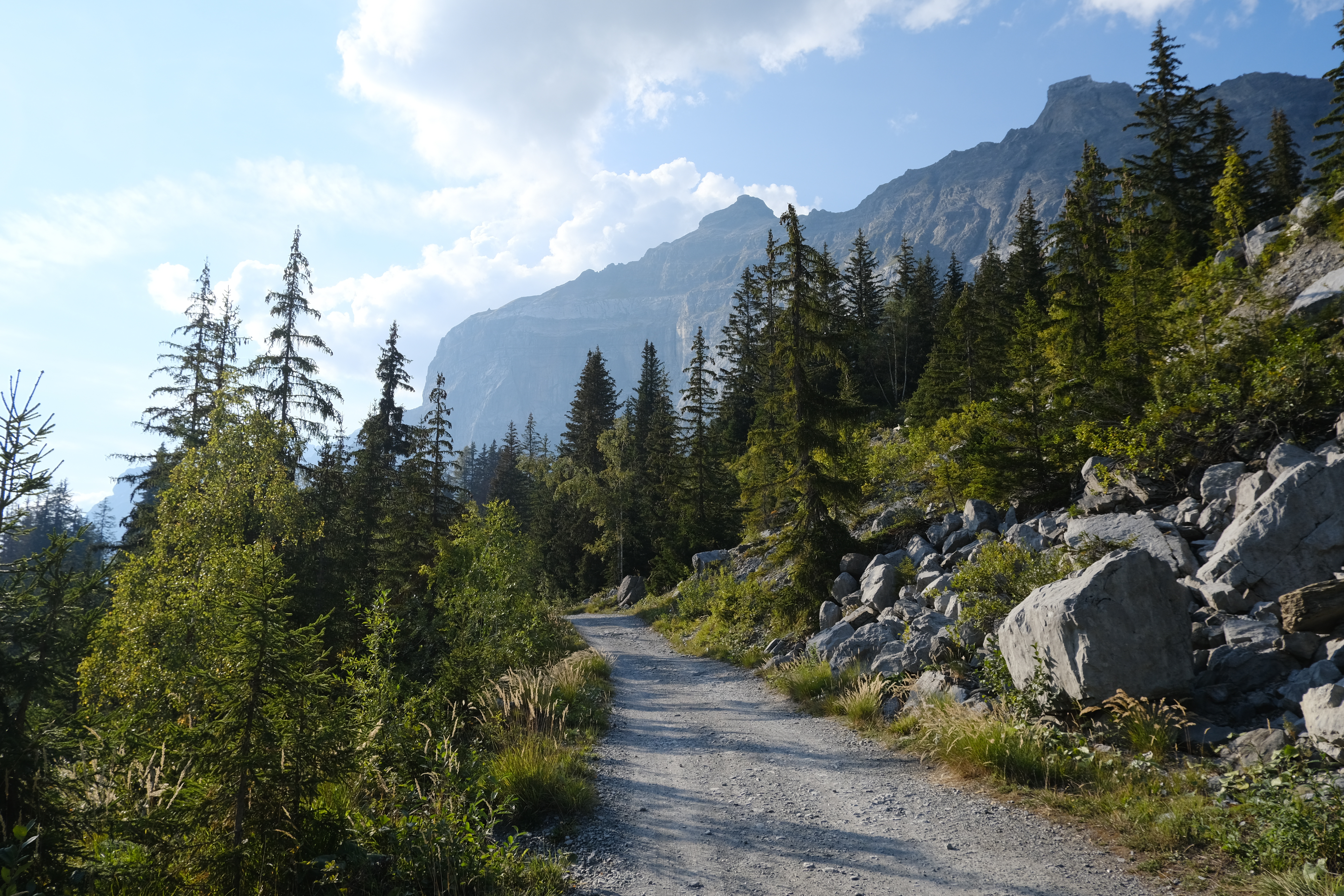 landscape, nature, trees, mountains, road, forest download HD wallpaper