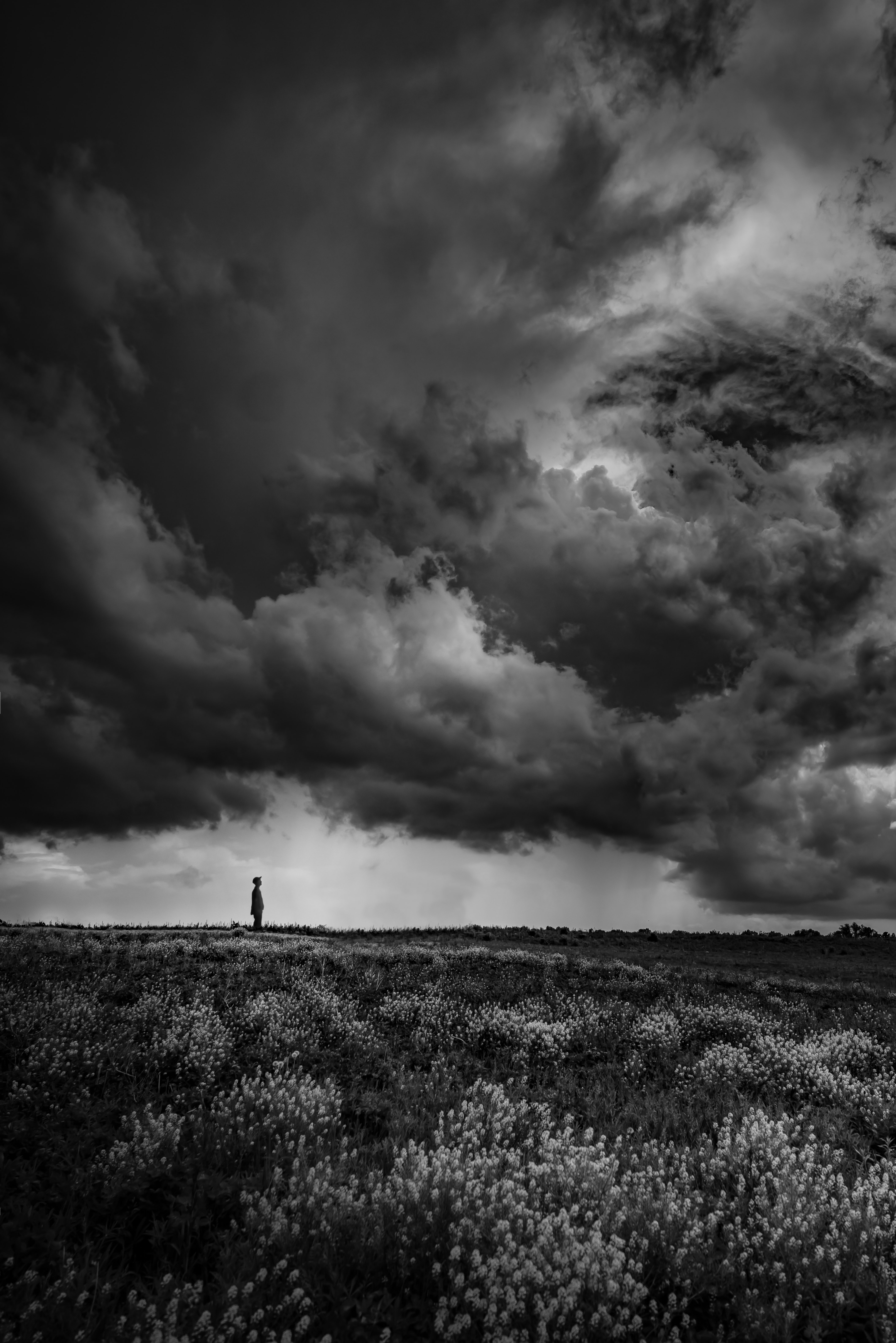 bw, sad, scope, spaciousness download for free