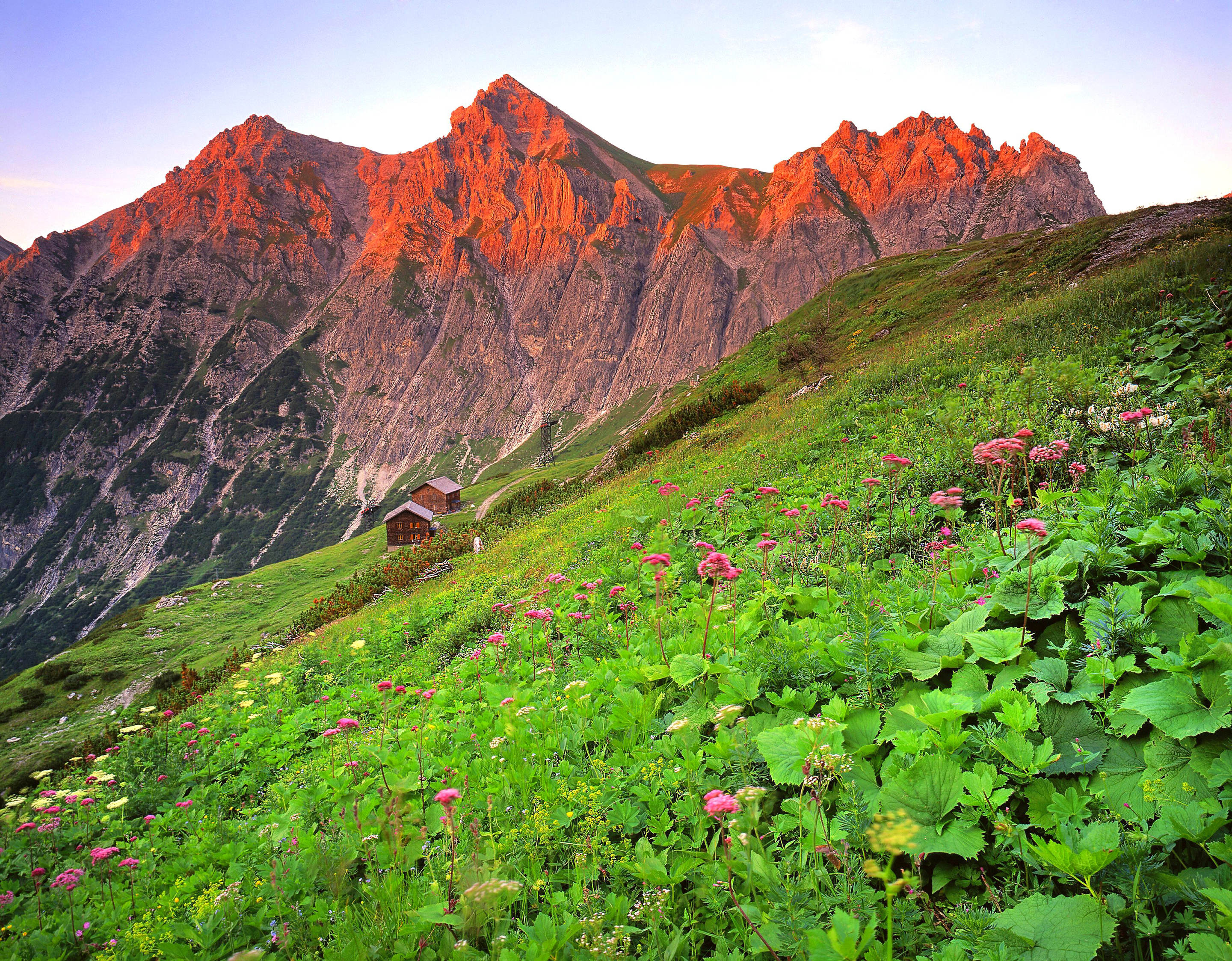austria, nature, grass, mountain, slope, brandnertal phone wallpaper