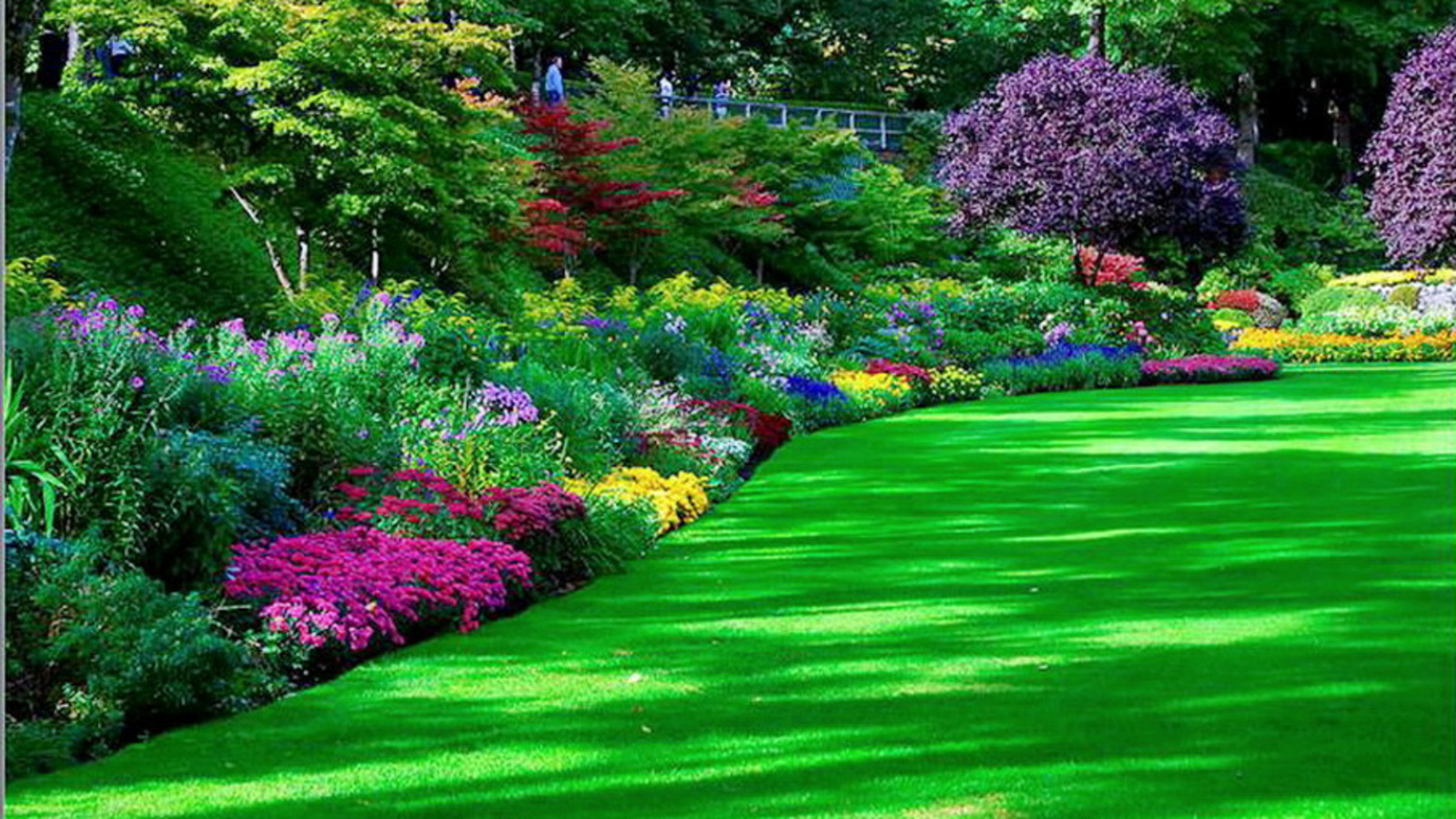 garden, man made, park for android