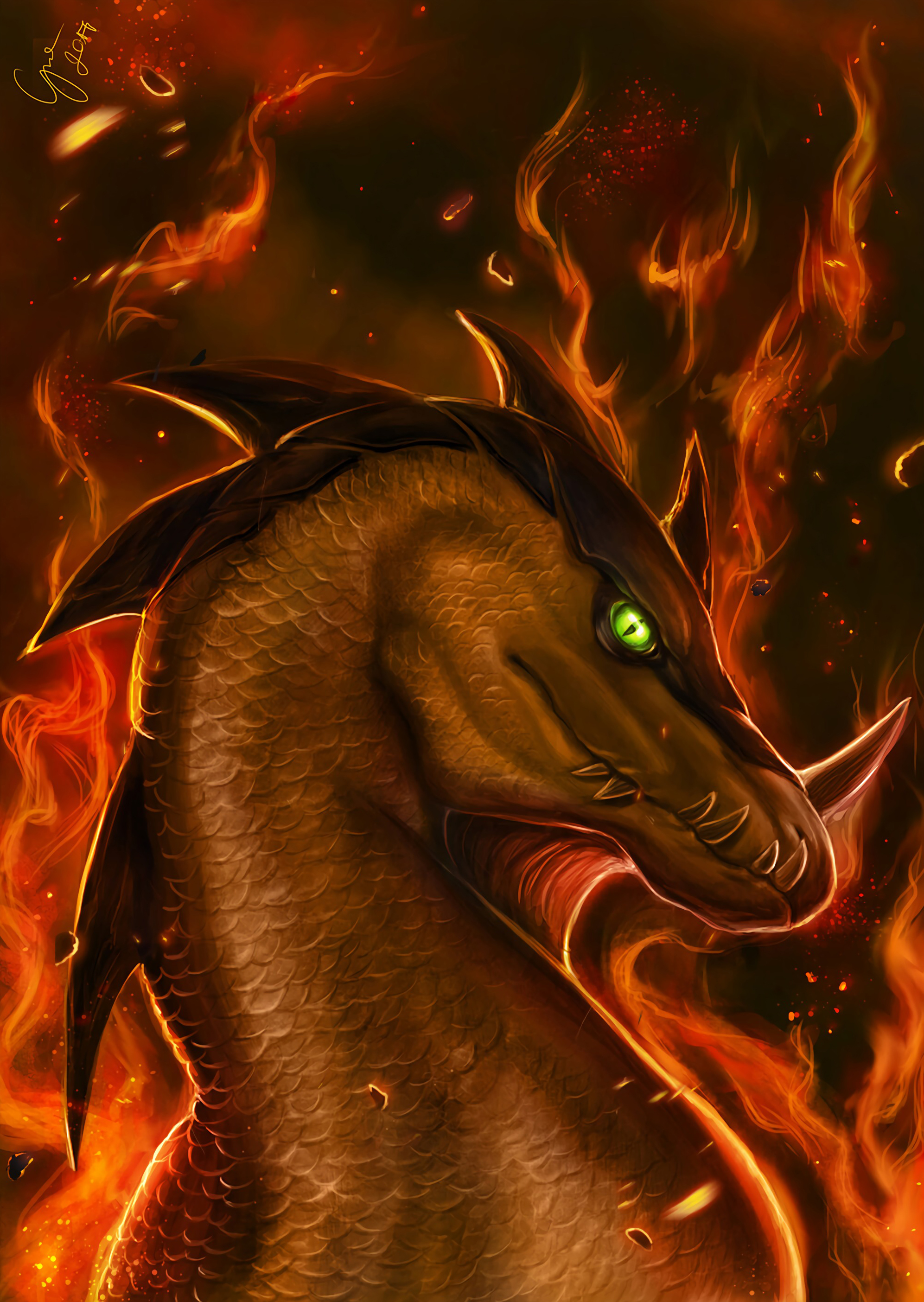 flame, fire, dragon, art download for free