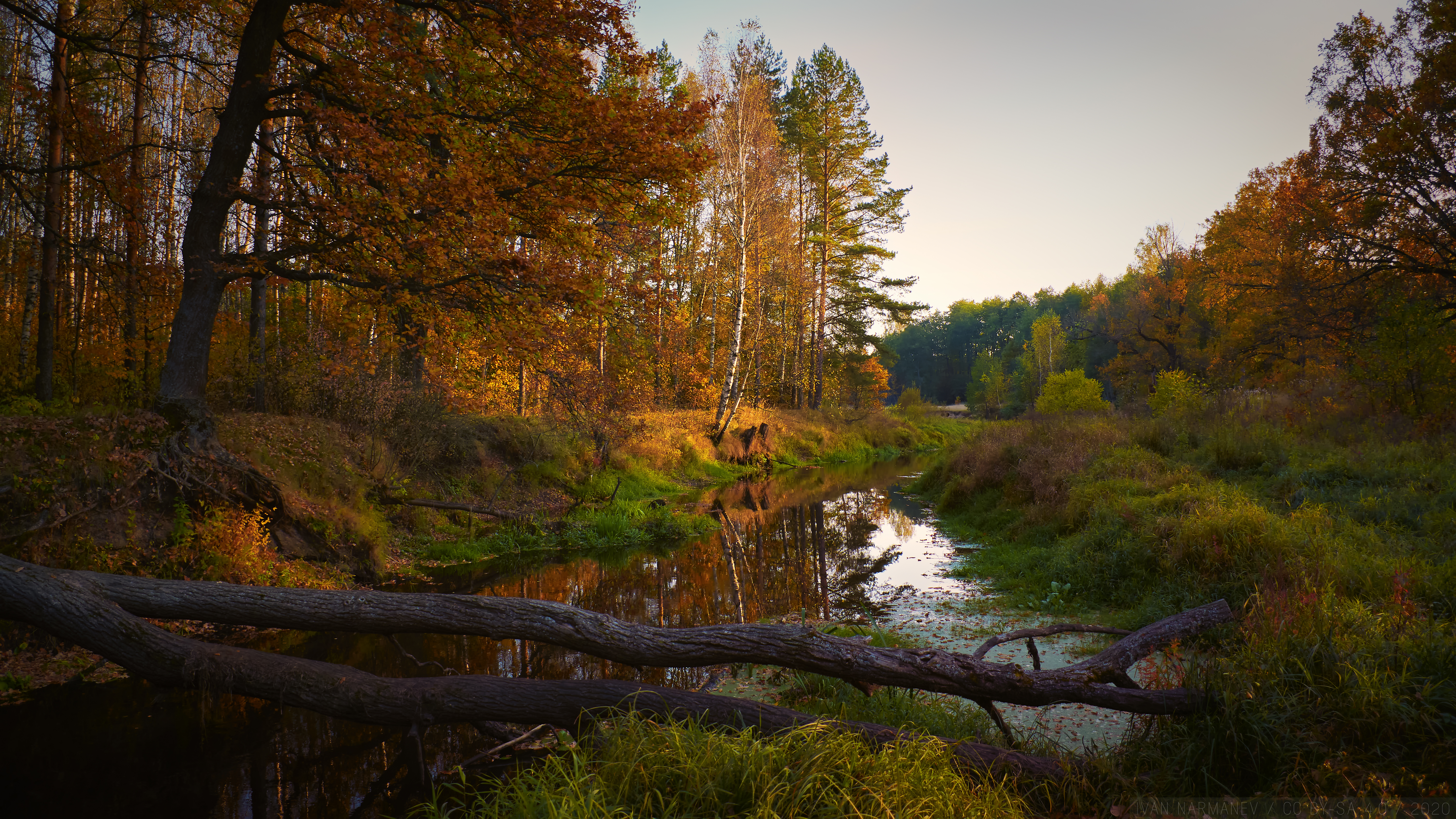 119502 завантажити шпалери осінь, пейзаж, природа, річка, дерева - заставки і картинки безкоштовно