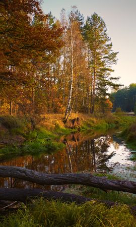 Фото с телефона пейзаж