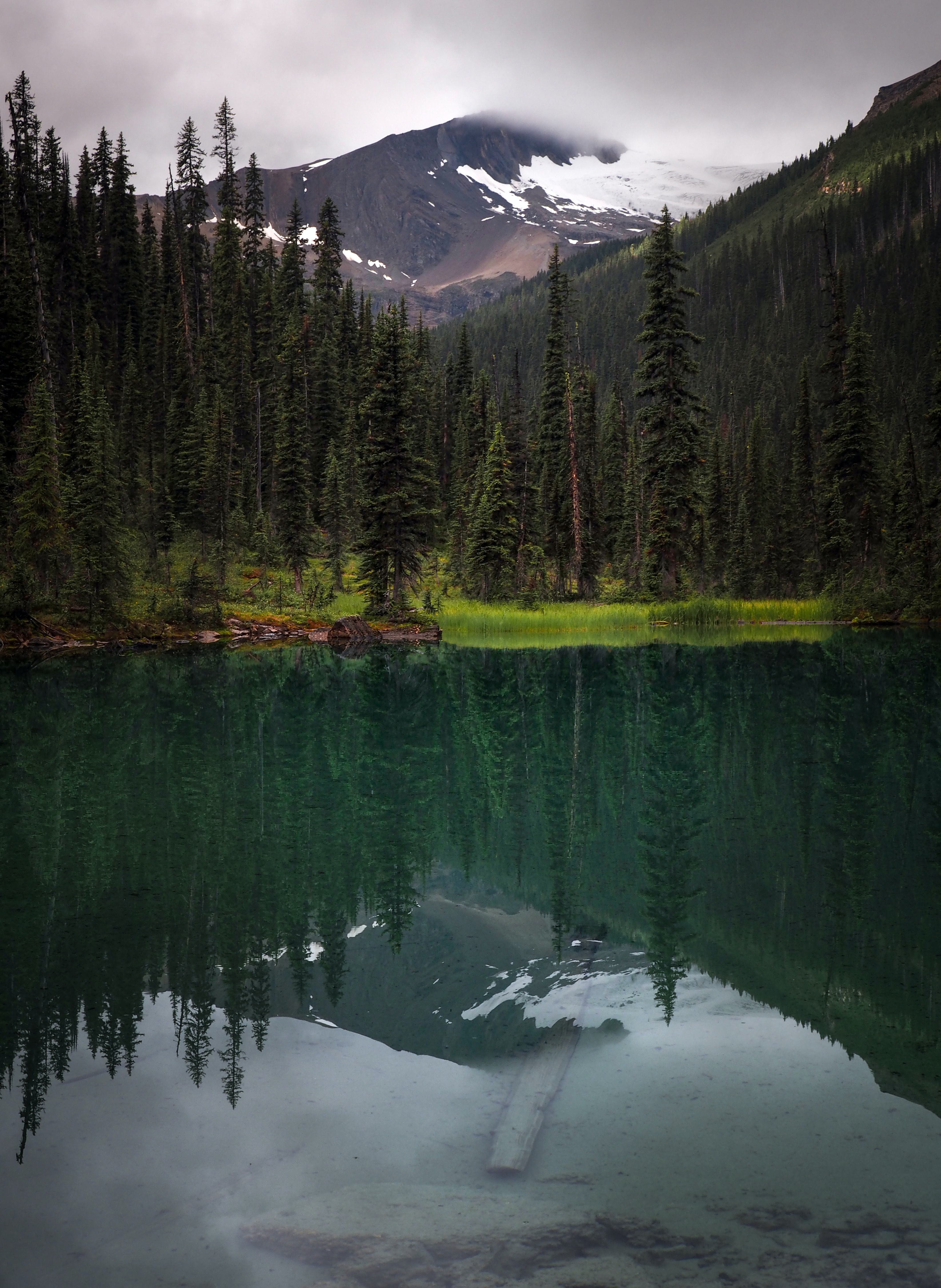 153836 descargar fondo de pantalla bosque, naturaleza, montaña, lago, reflexión, abeto: protectores de pantalla e imágenes gratis
