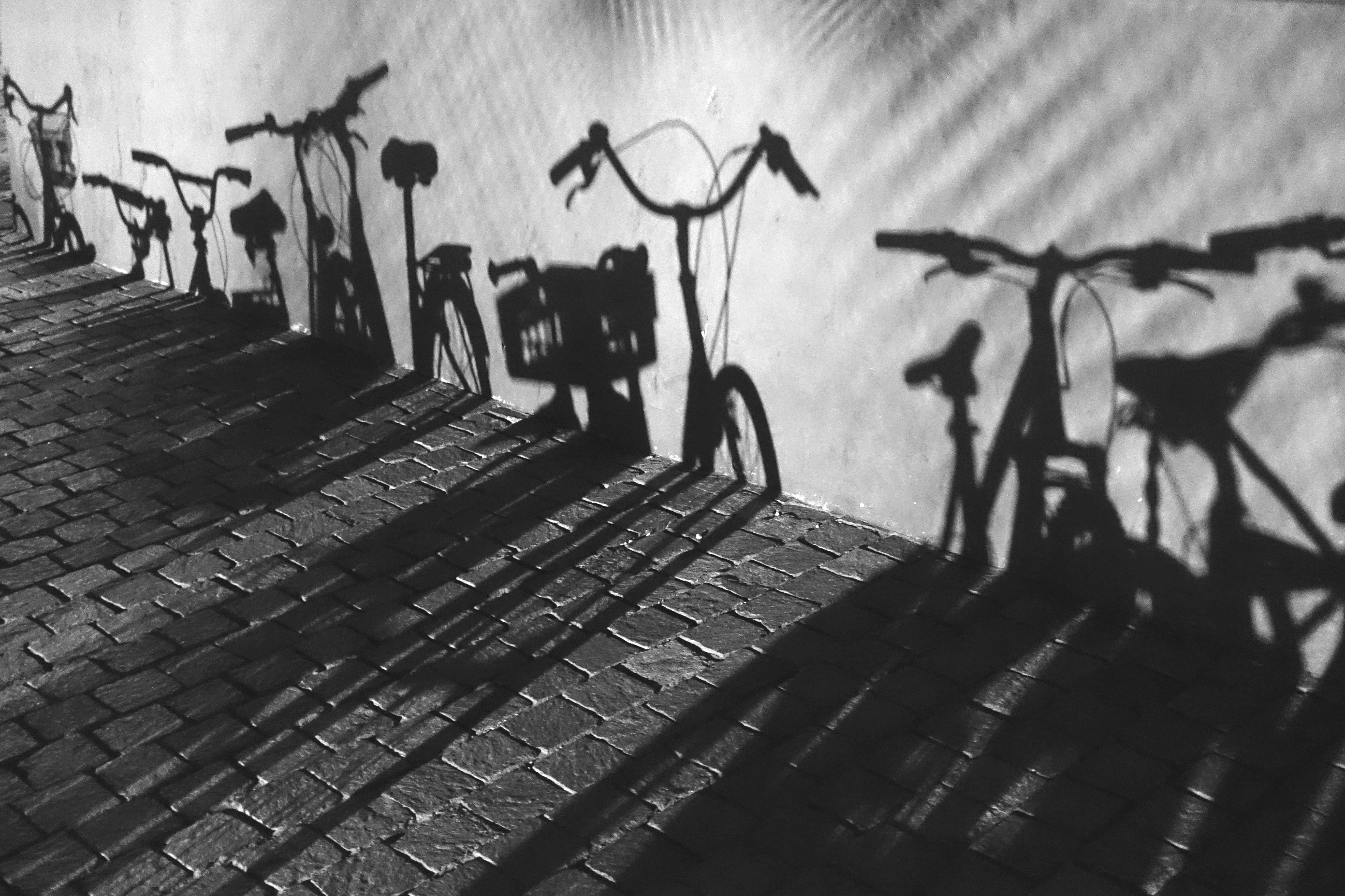 photography, shadows, bicycle