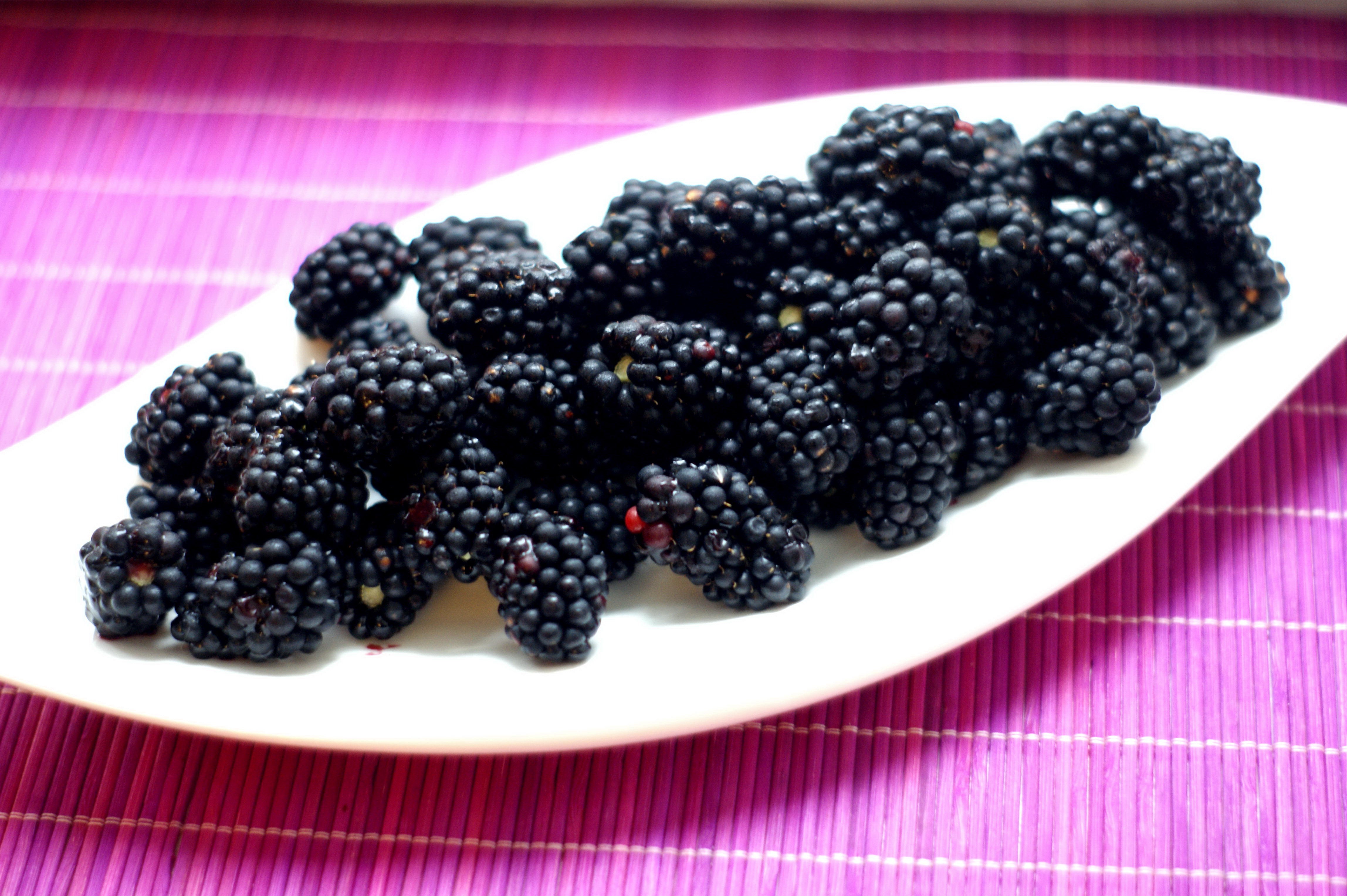 Berries plate, food, blackberry 8k Backgrounds