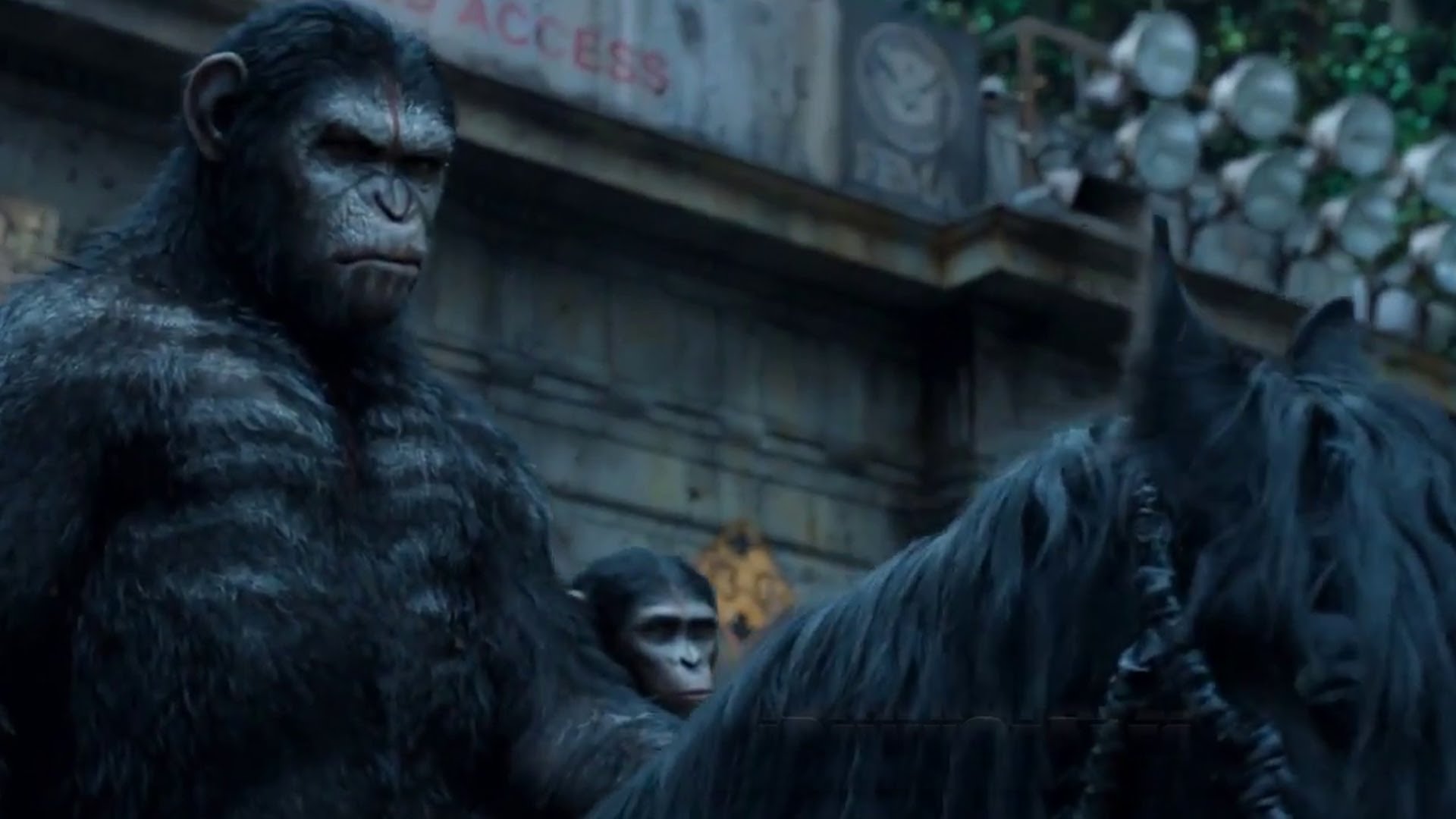 《猩球崛起3》今日上映IMAX打响最燃人猿决战-新闻100