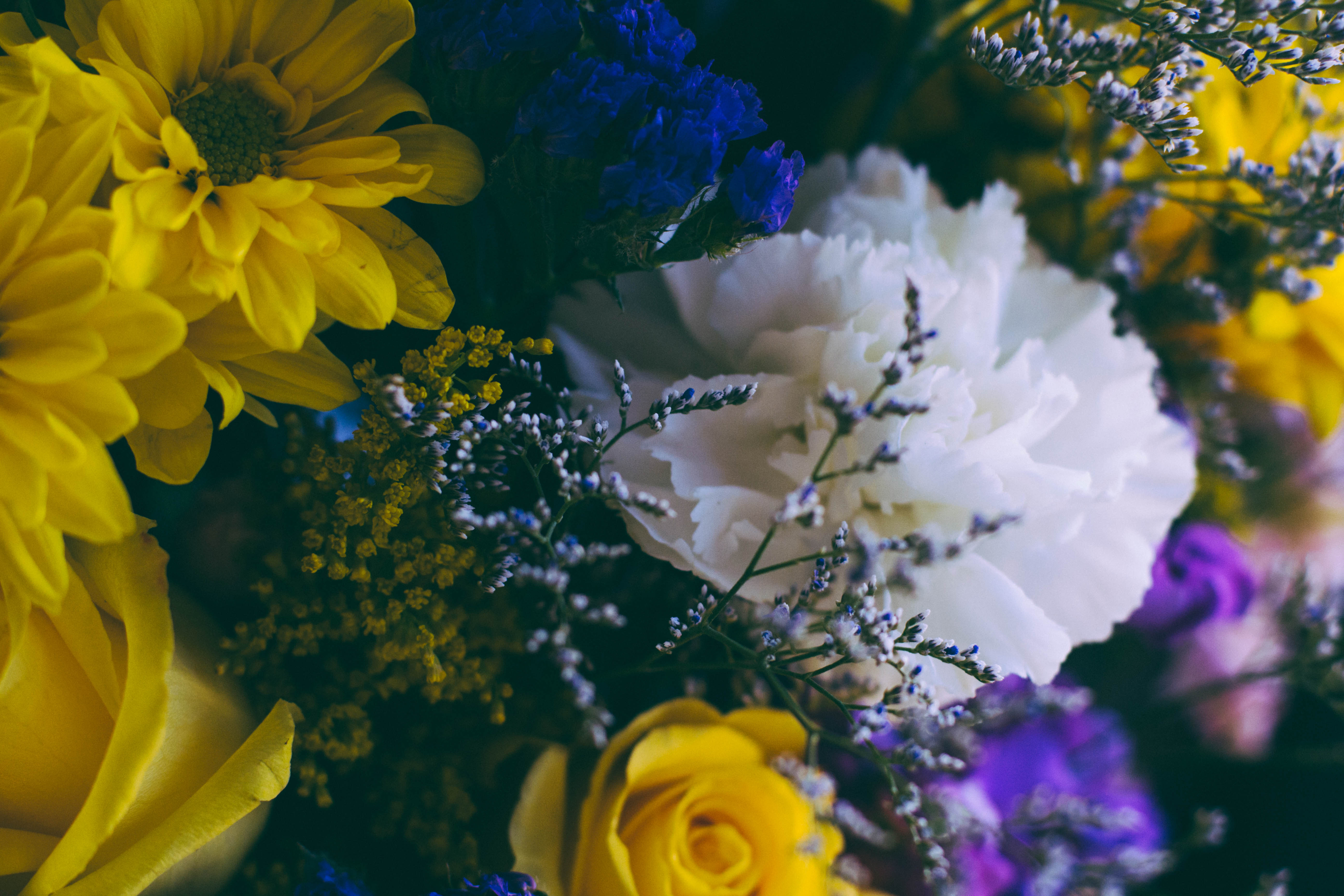 composition, flowers, multicolored, motley, bouquet 5K