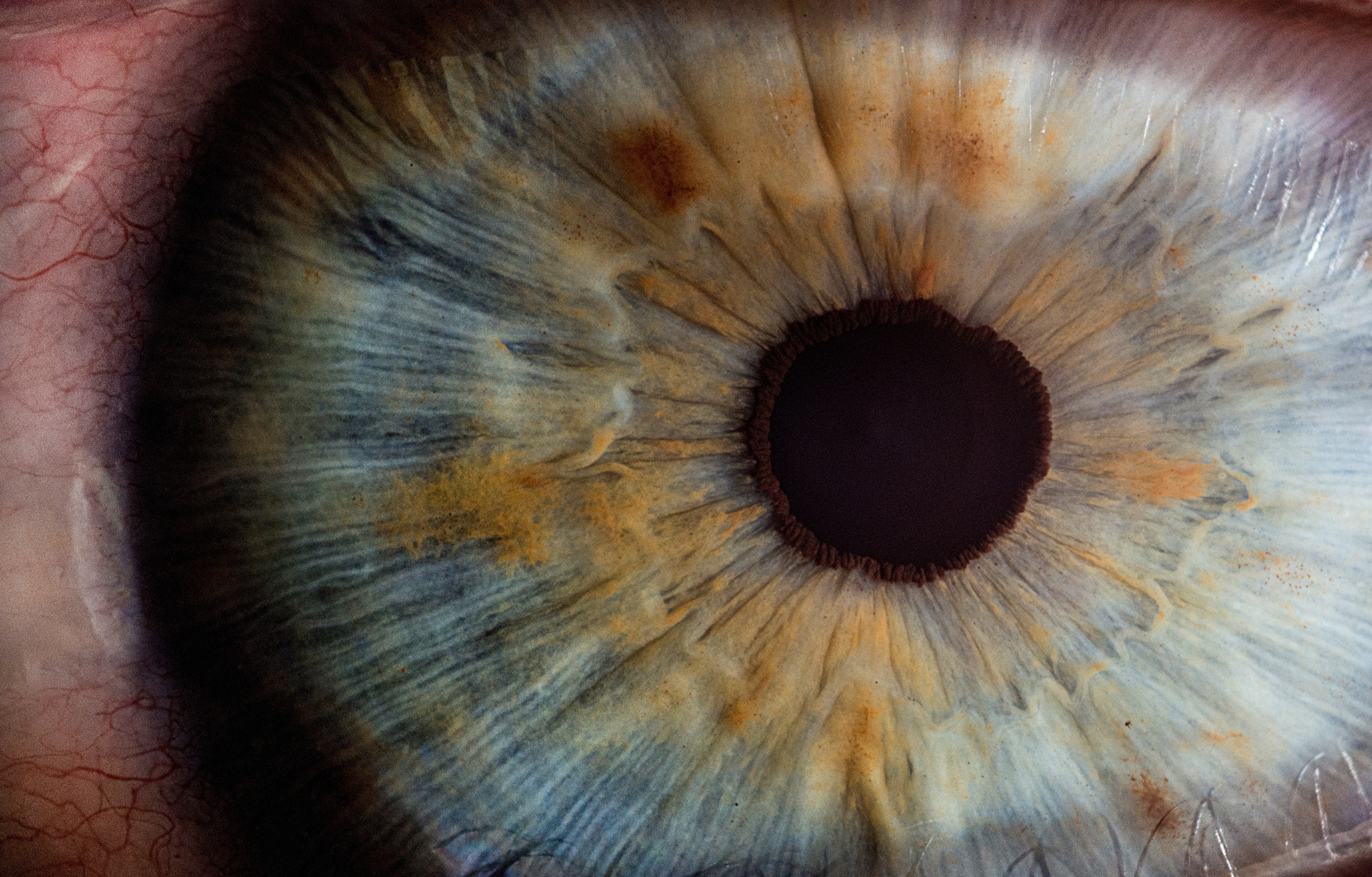 pupil, eye, macro, close up
