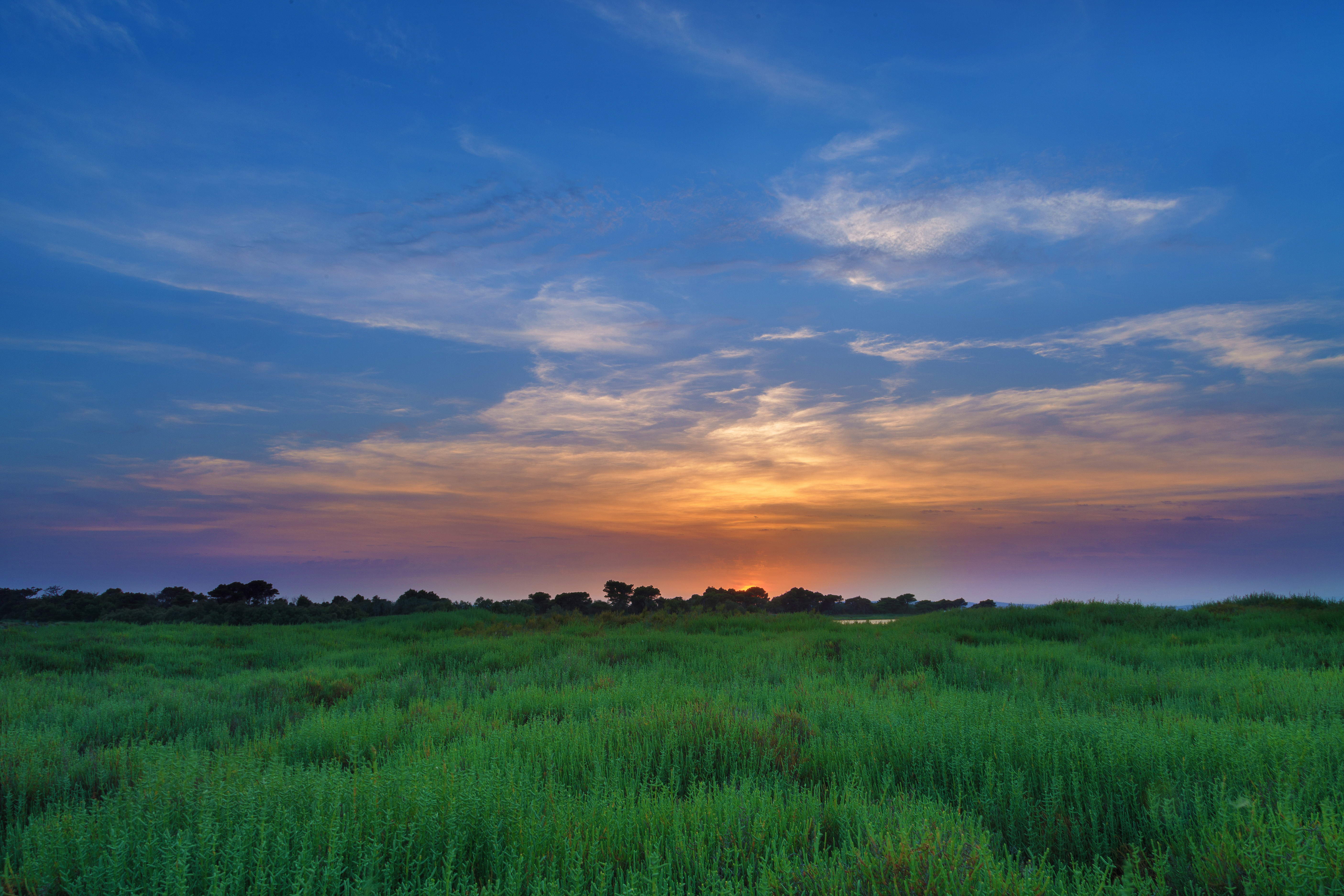 grass, nature, sunset, sky, clouds, horizon, field, soleros HD wallpaper