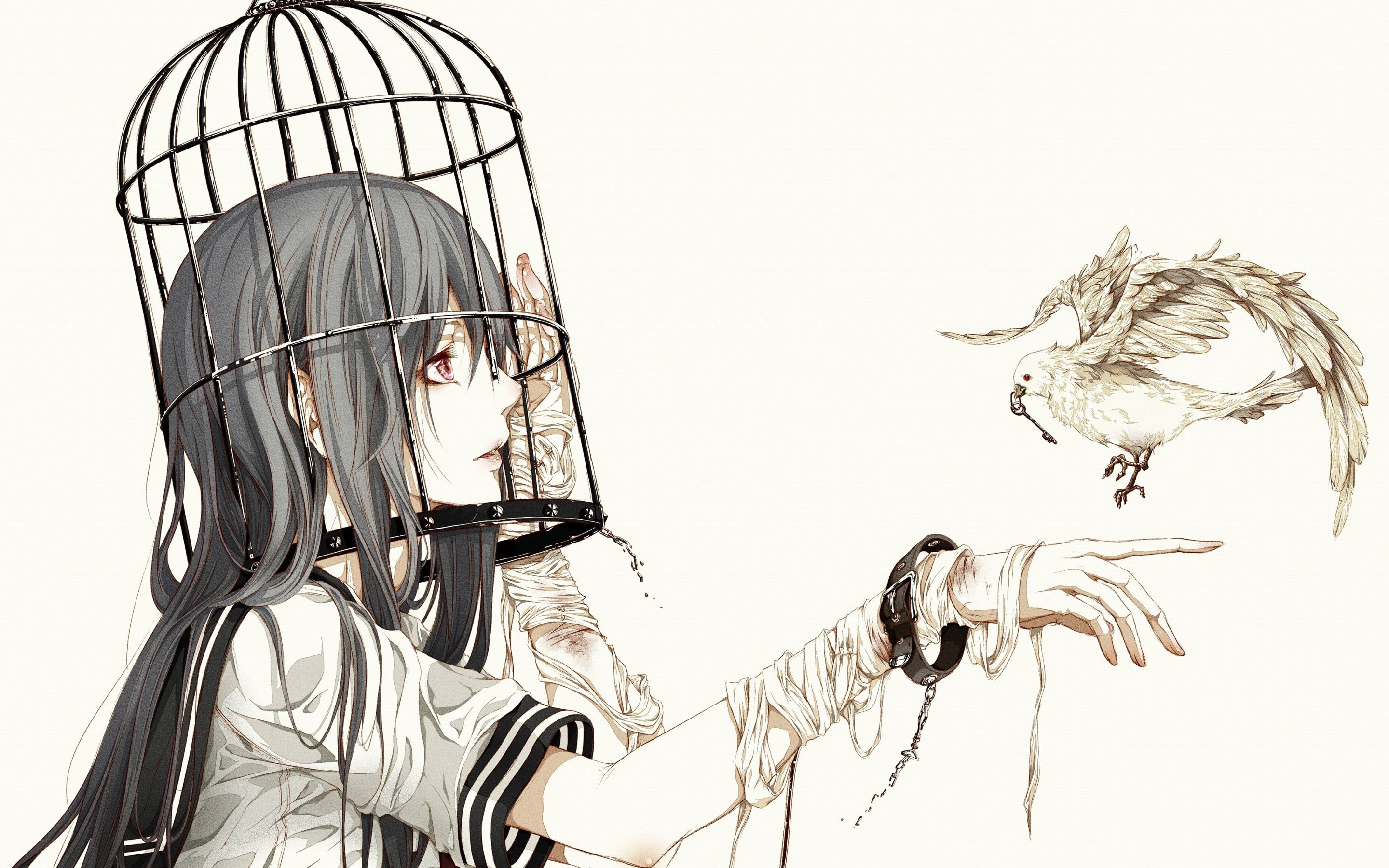 anime, original, bird, cage Full HD
