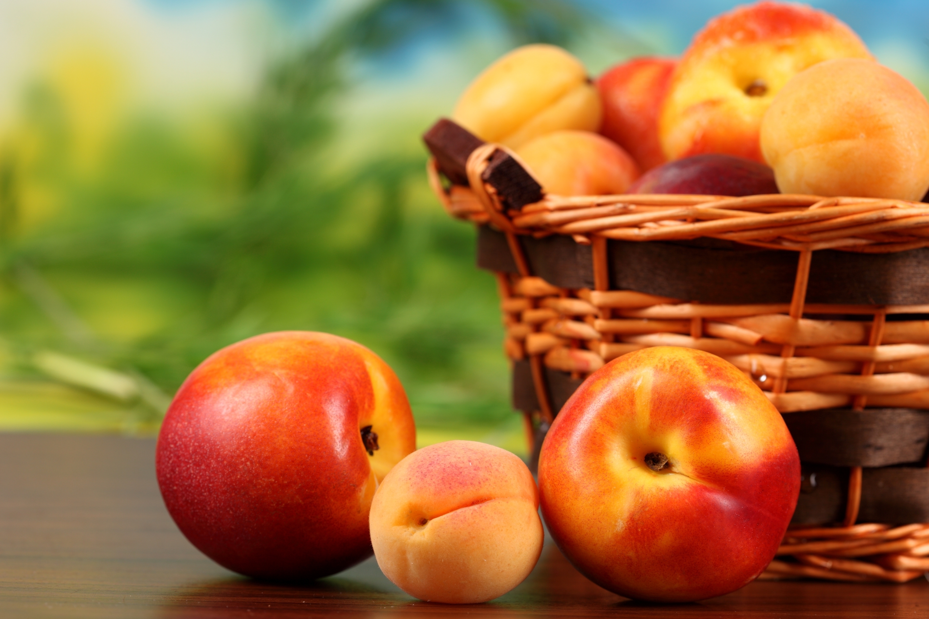 111845 download wallpaper fruits, food, peaches, basket, apricots, nectarine screensavers and pictures for free
