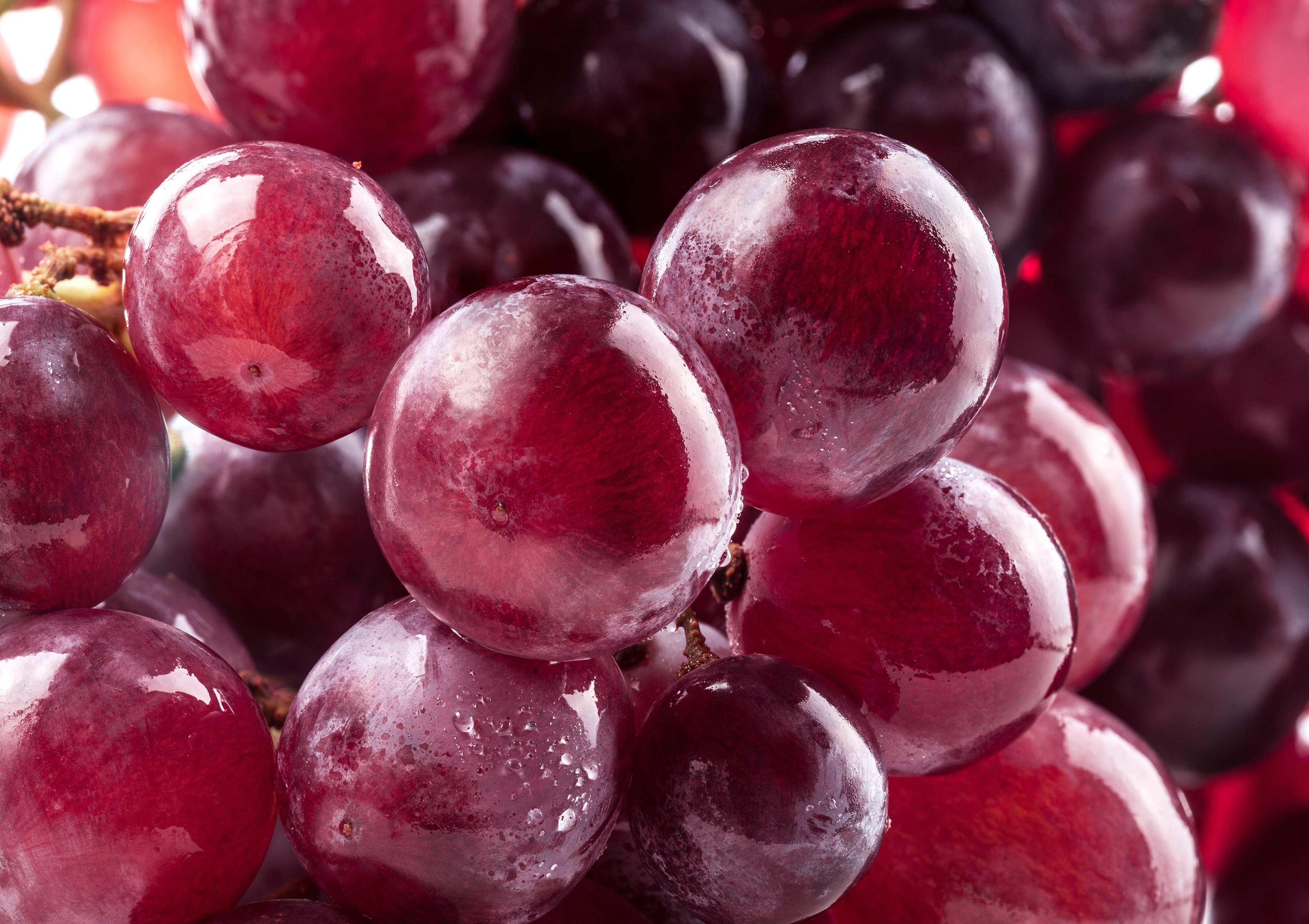 macro, berries, grapes, ripe UHD