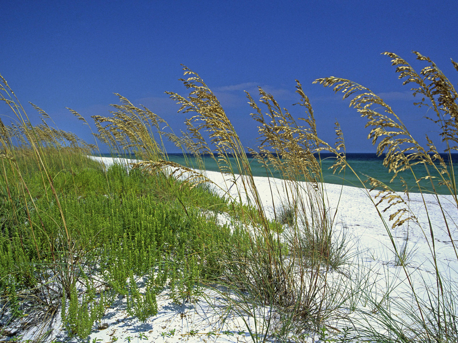 1076355 免費下載壁紙 自然, 海滩, 草, 海洋, 沙 屏保和圖片