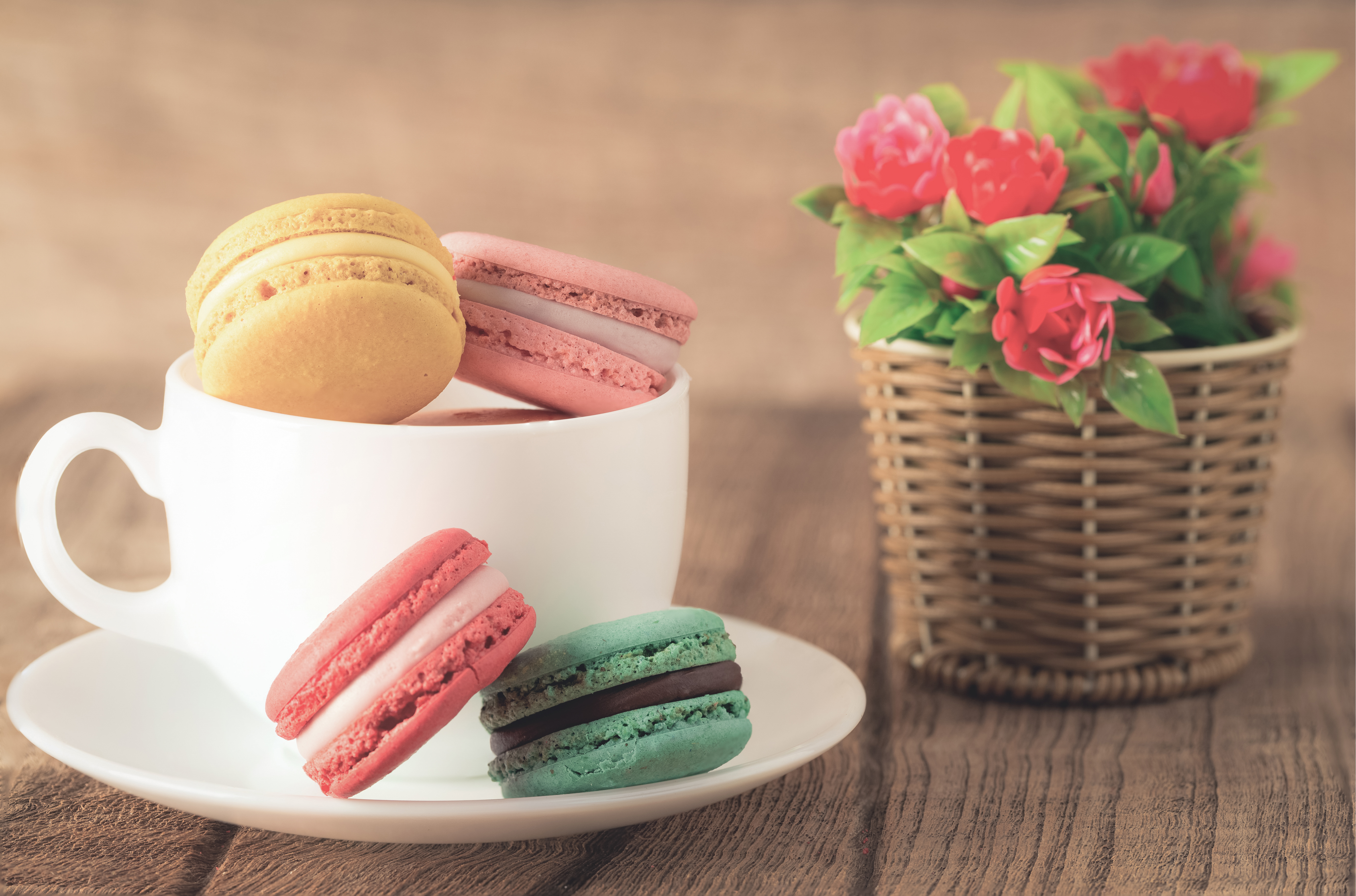 Images & Pictures food, macaron, sweets, flower Basket