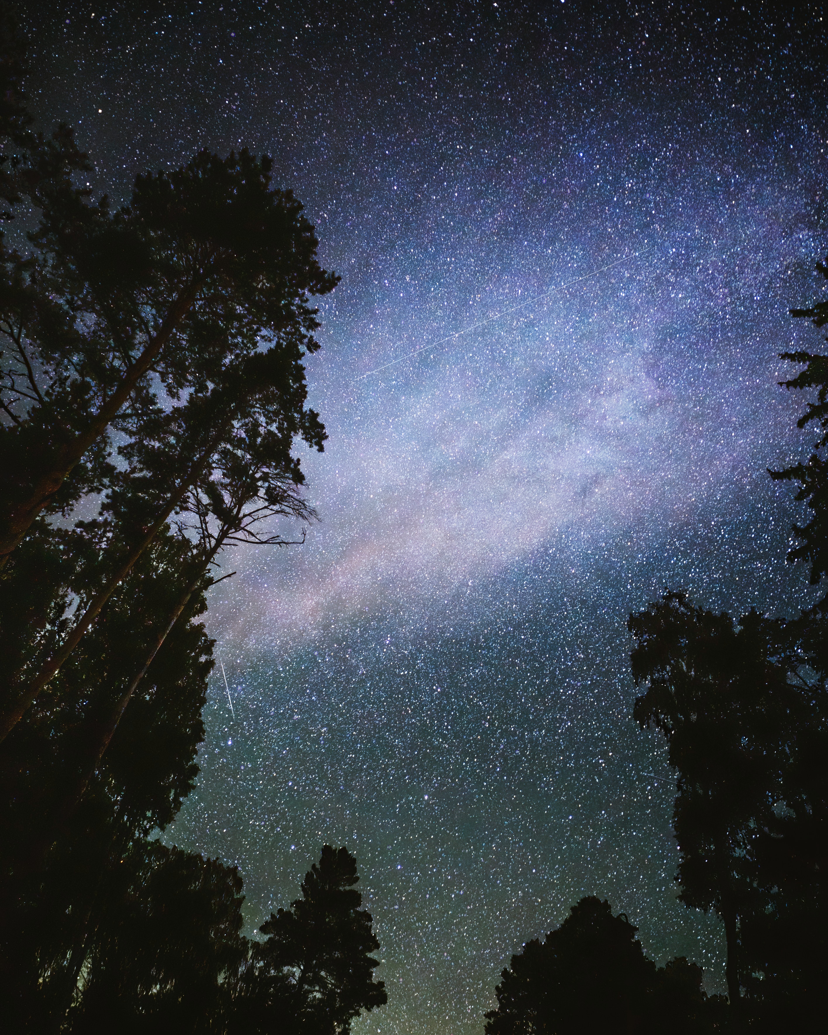 110606 descargar fondo de pantalla oscuro, árboles, estrellas, noche, cielo estrellado: protectores de pantalla e imágenes gratis