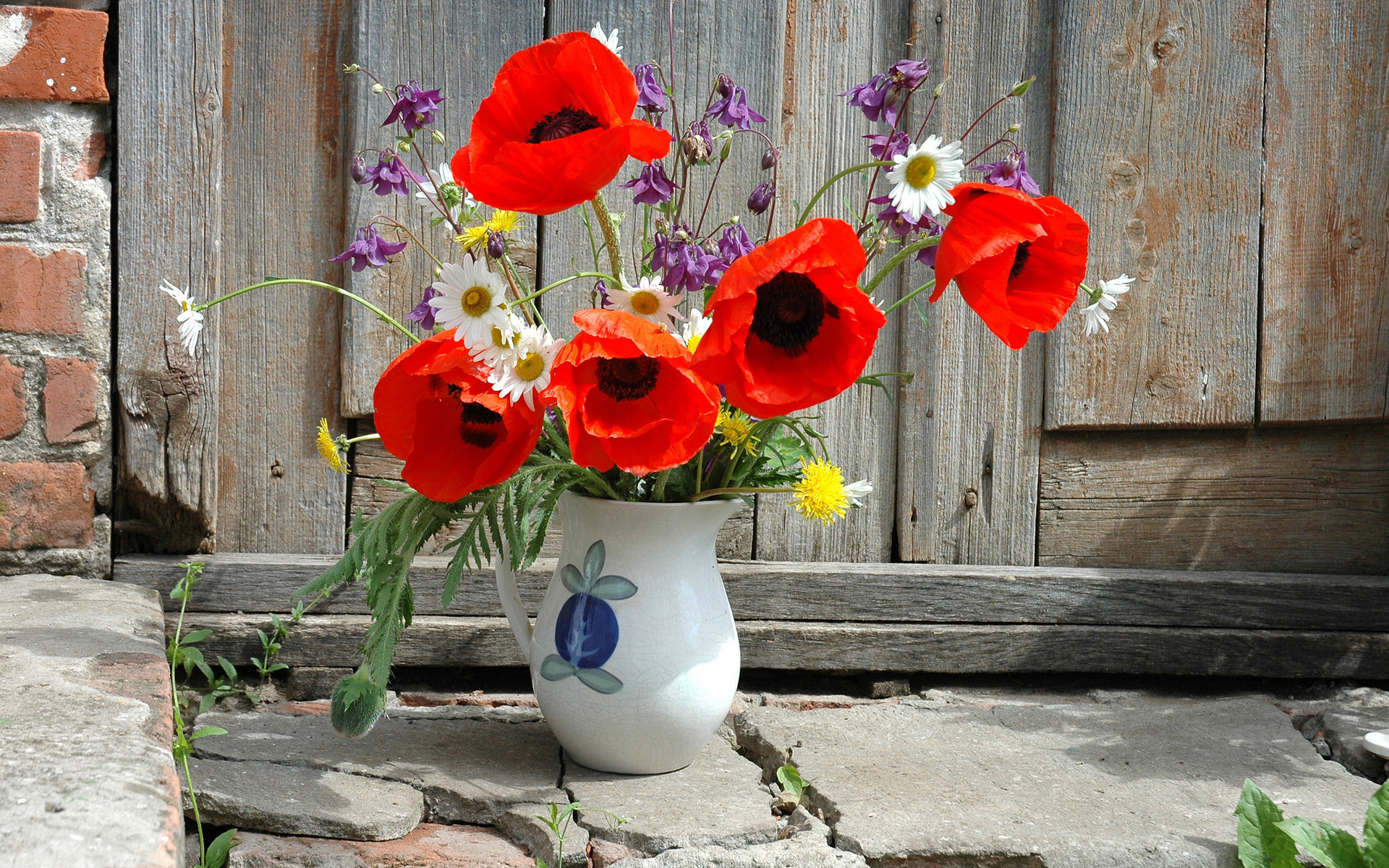 550159 завантажити шпалери ваза, фотографія, натюрморт, квітка - заставки і картинки безкоштовно