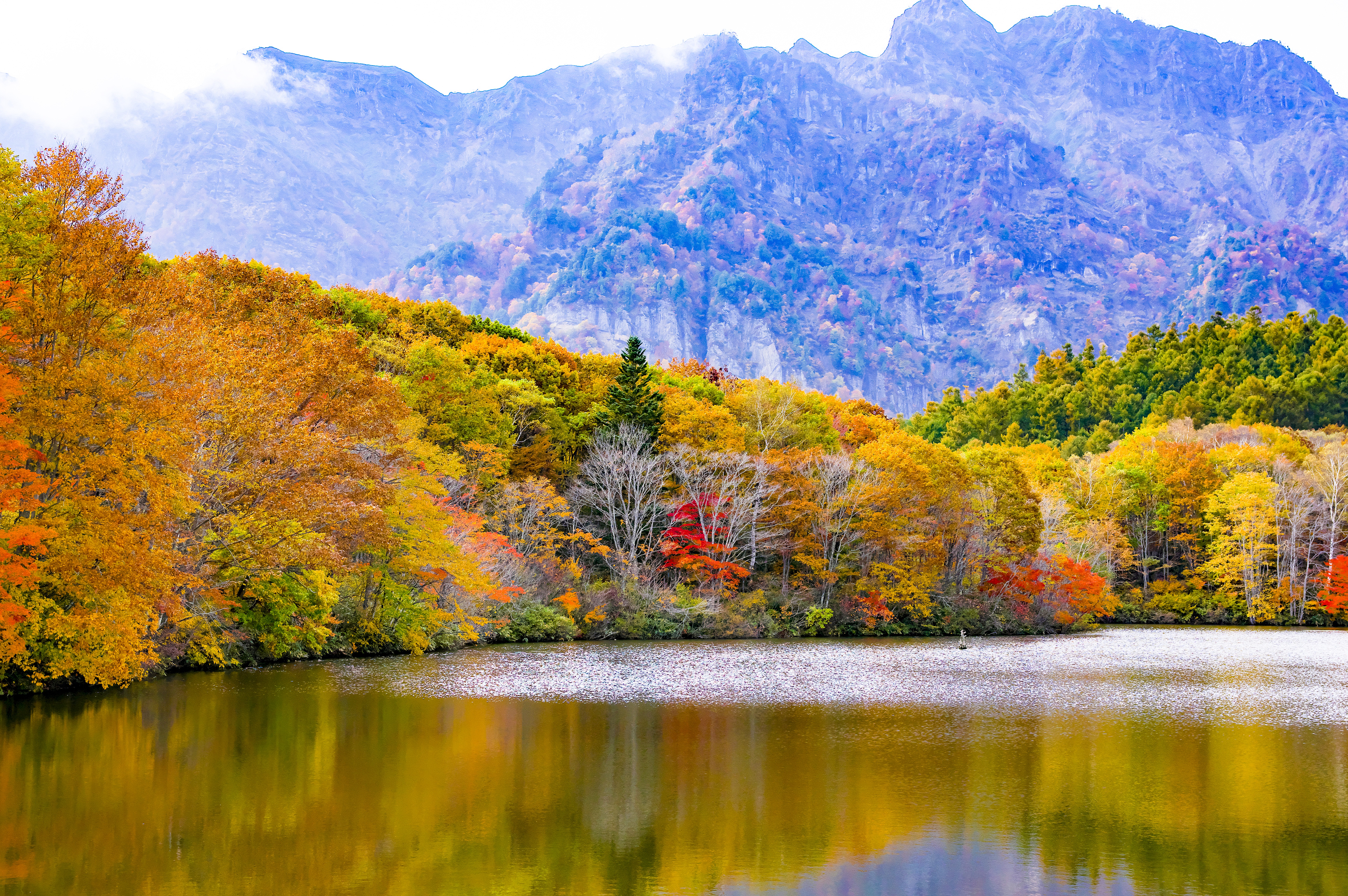 autumn, japan, nature, trees, mountains, lake, togakusi, togakushi 32K