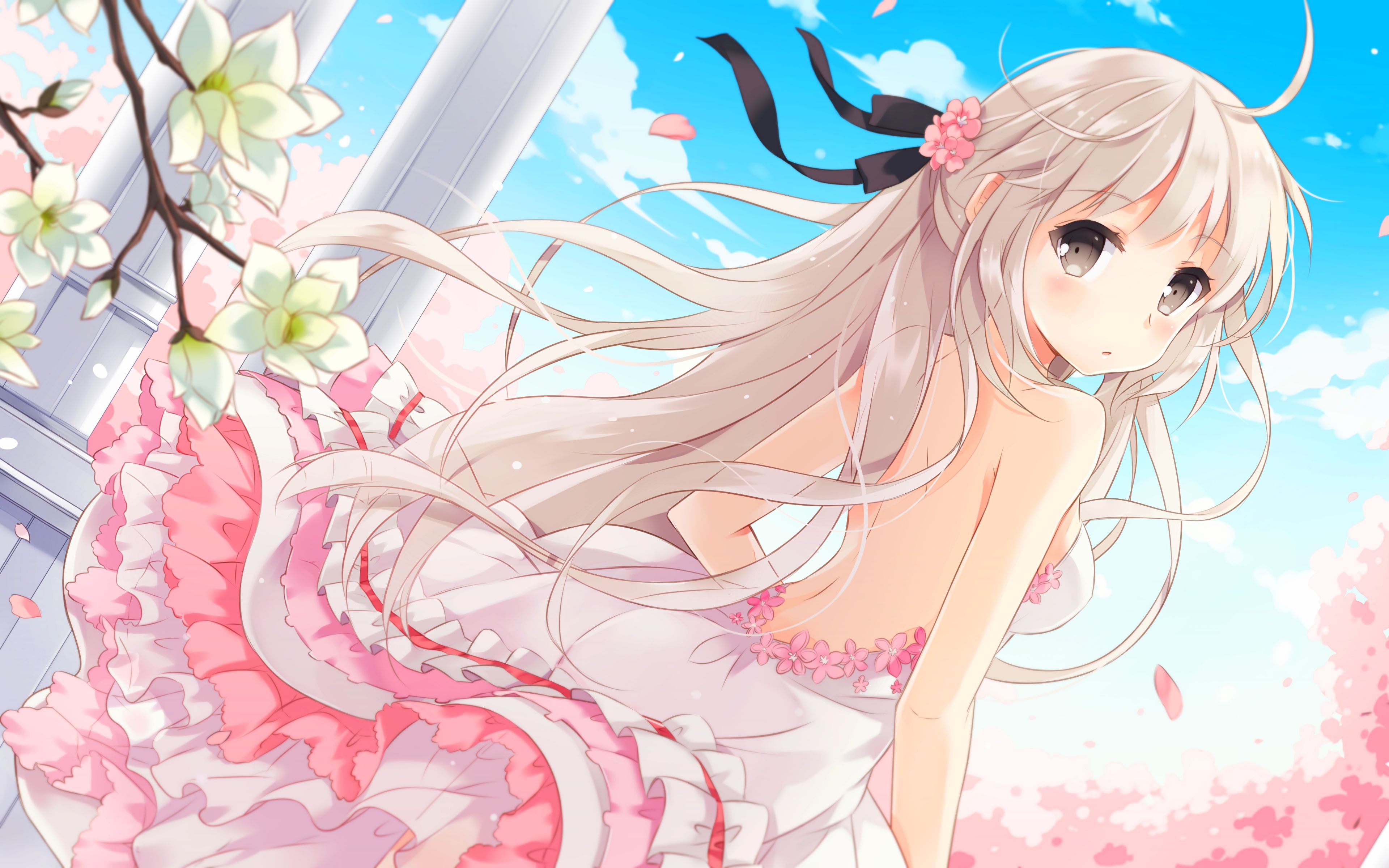 HD desktop wallpaper: Anime, Flower, Spring, Dress, Cherry Blossom, Yosuga  No Sora, Sora Kasugano, White Dress download free picture #861328