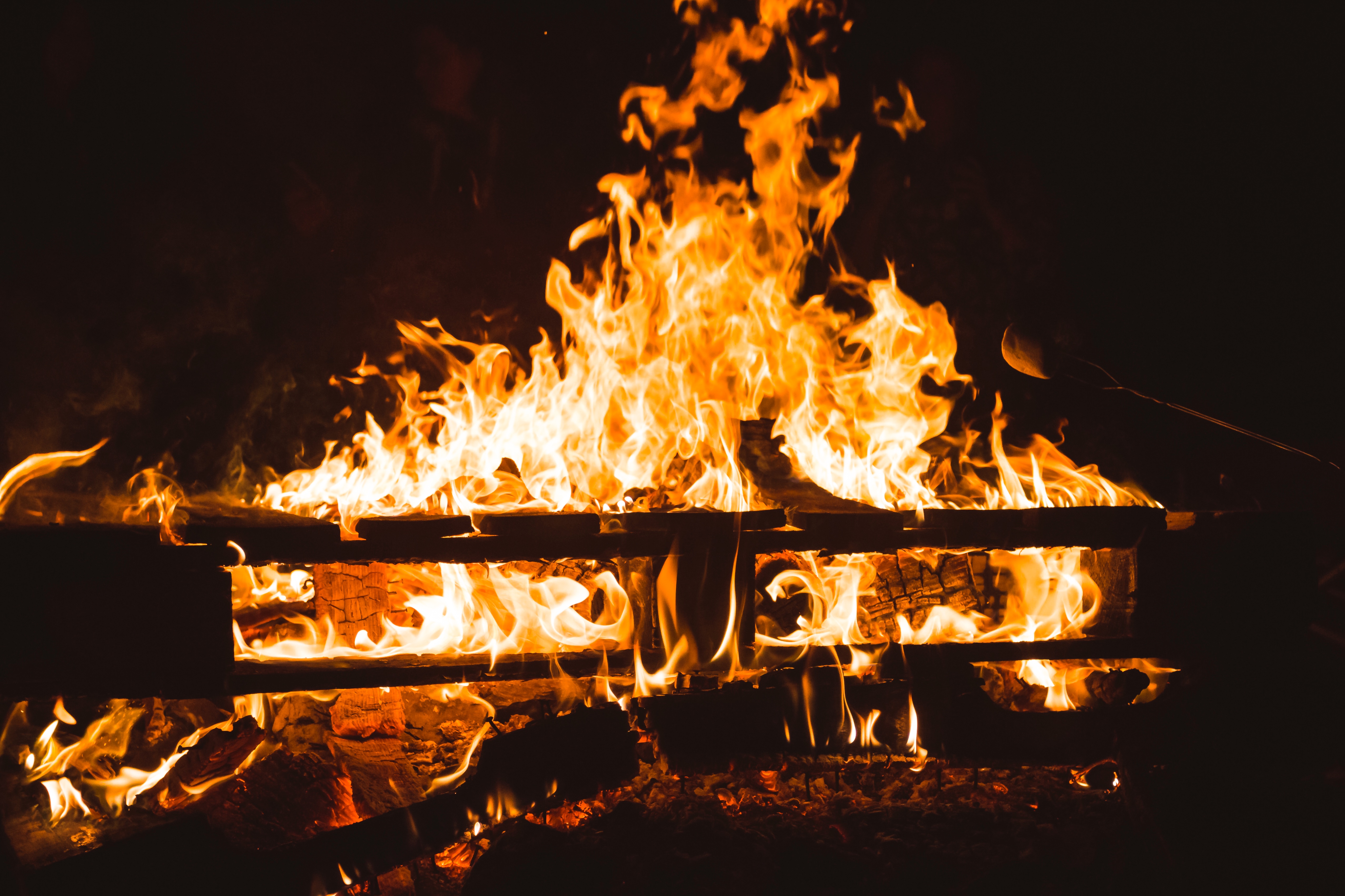 firewood, fire, coals, bonfire, dark QHD