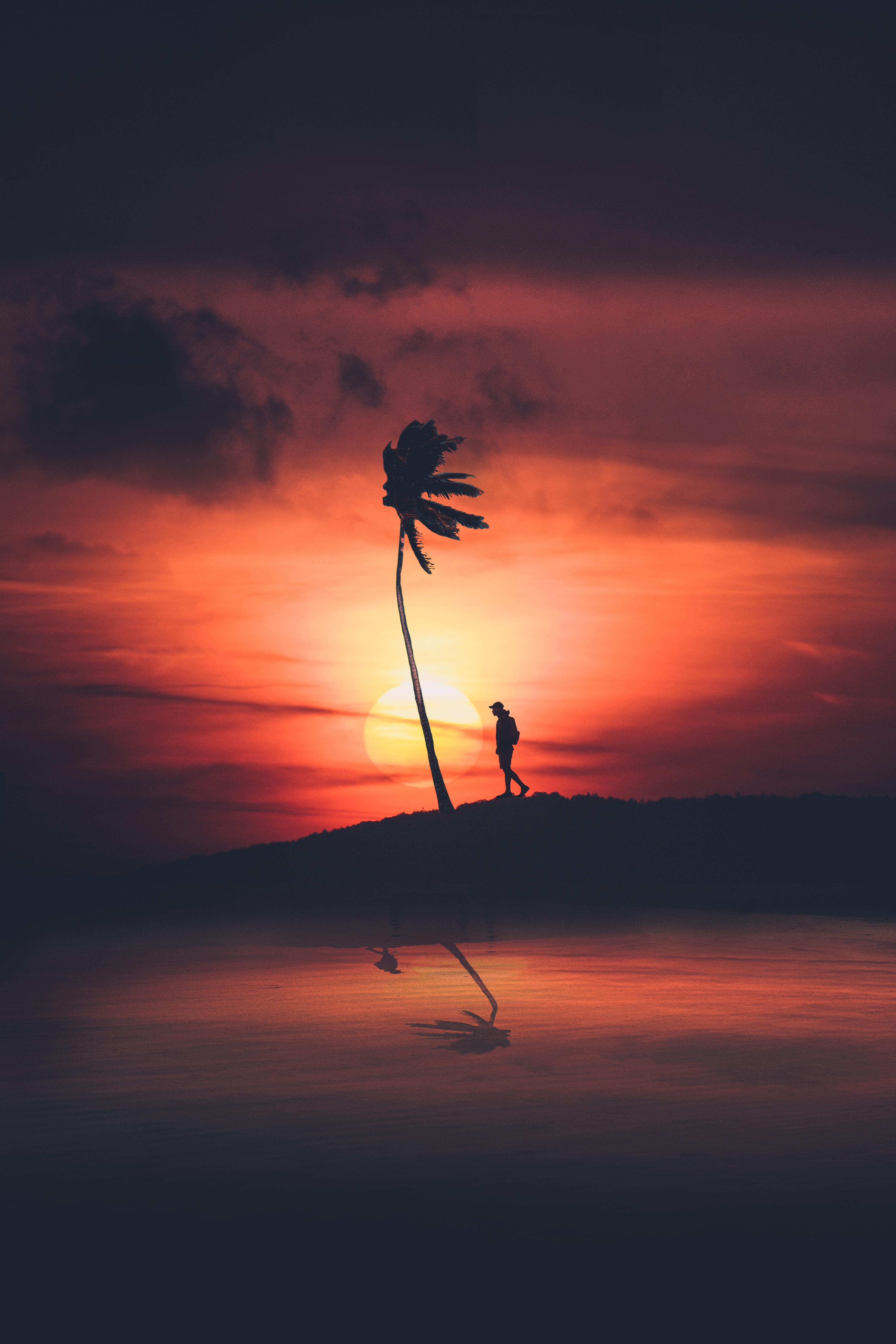 Seclusion privacy, loneliness, sunset, palm Lock Screen