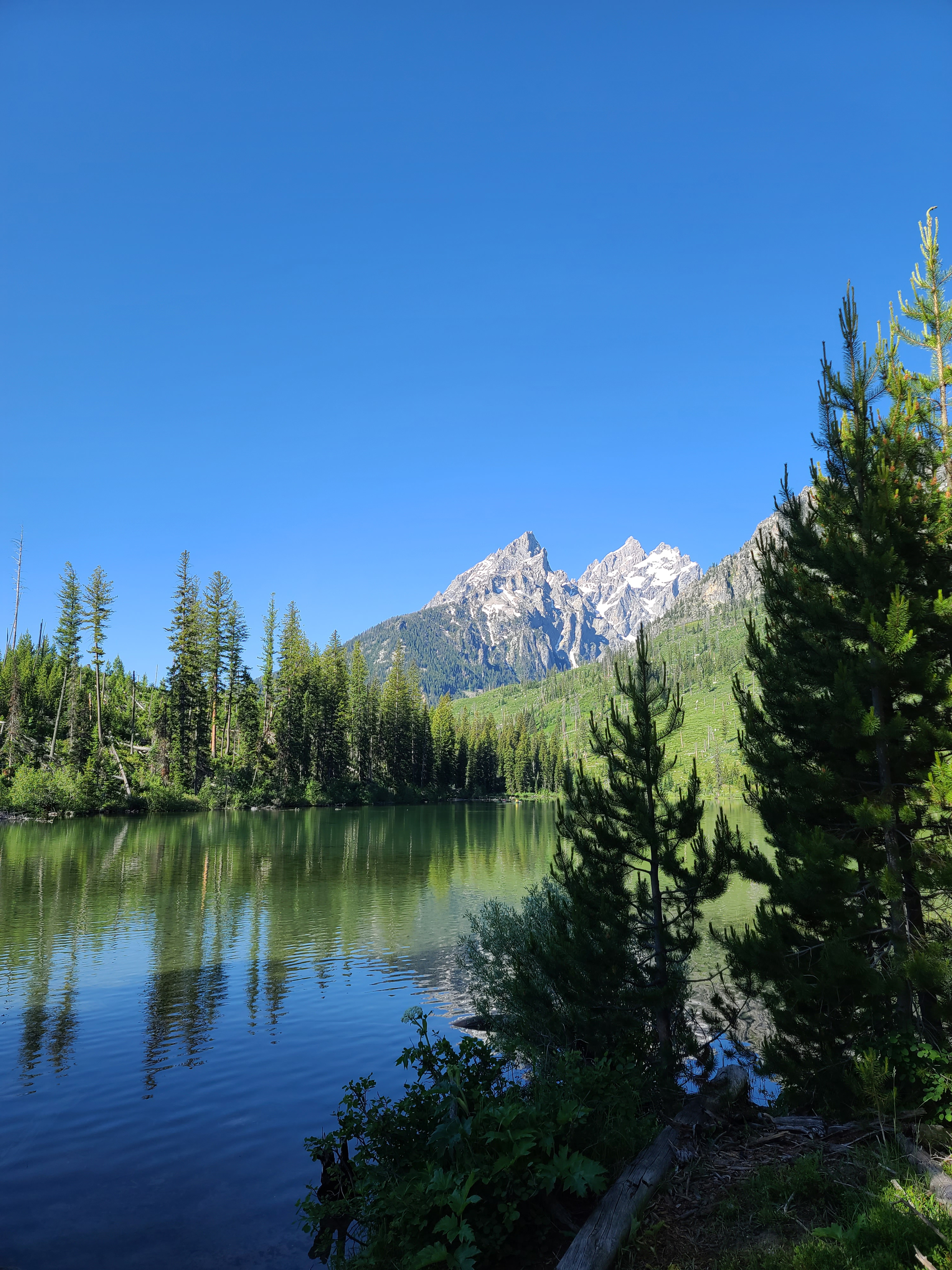 trees, lake, nature, landscape, mountain cellphone