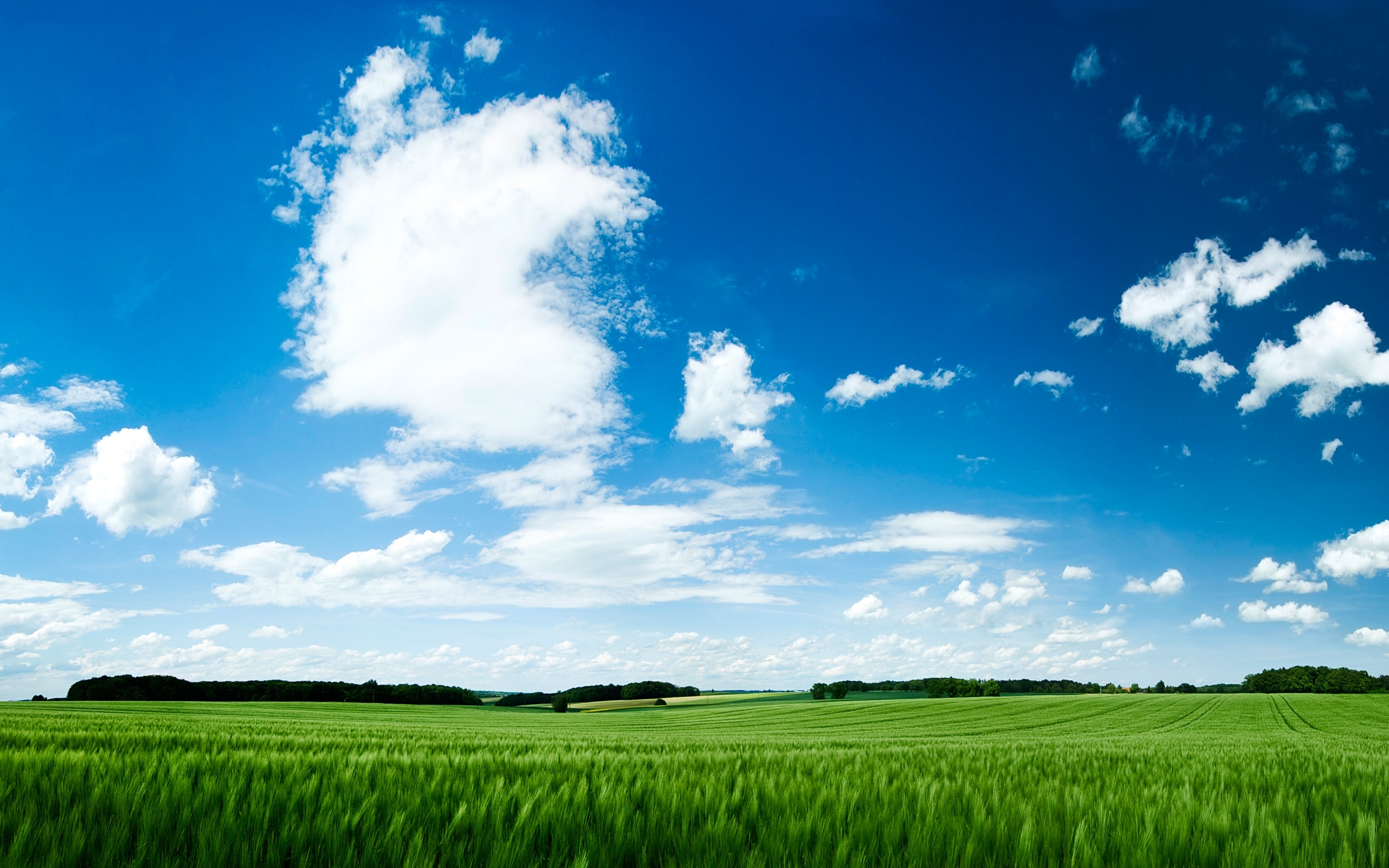 fields, landscape, blue download HD wallpaper
