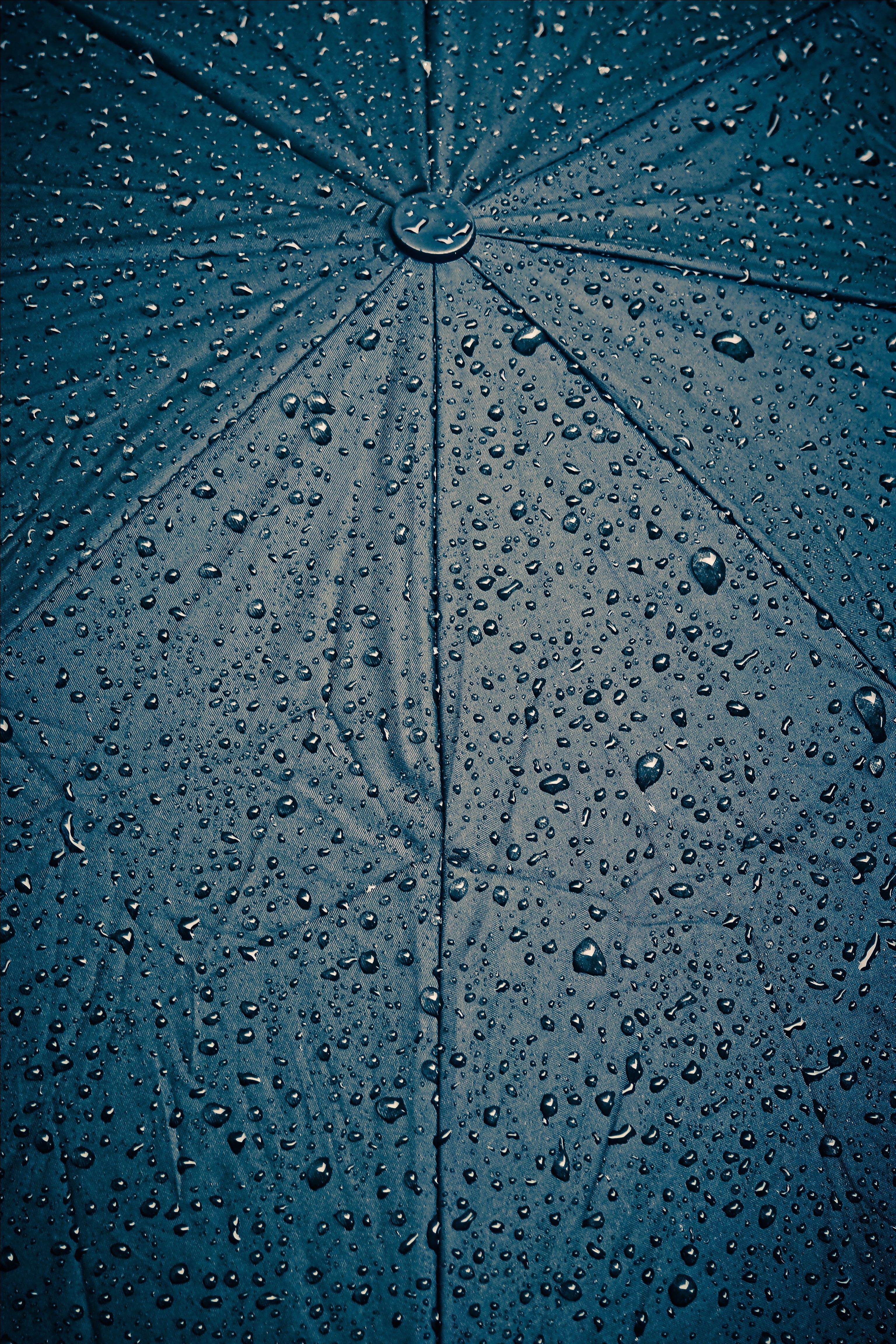 texture, rain, drops, wet, textures, surface, cloth, umbrella, humid 4K
