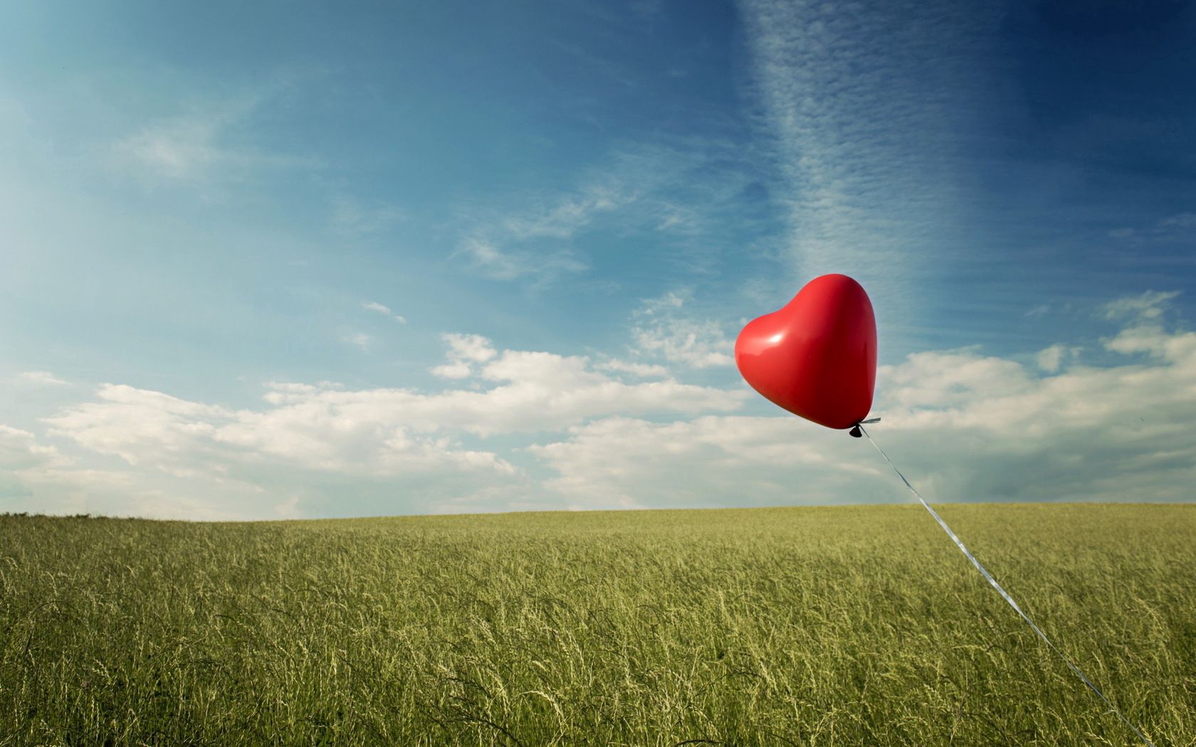 Laden Sie das Grass, Liebe, Feld, Luftballon, Ballon, Wind-Bild kostenlos auf Ihren PC-Desktop herunter