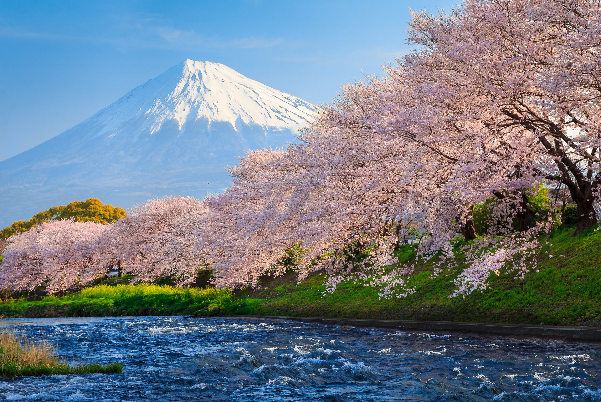 お使いの携帯電話の359911スクリーンセーバーと壁紙富士山。 の写真を無料でダウンロード