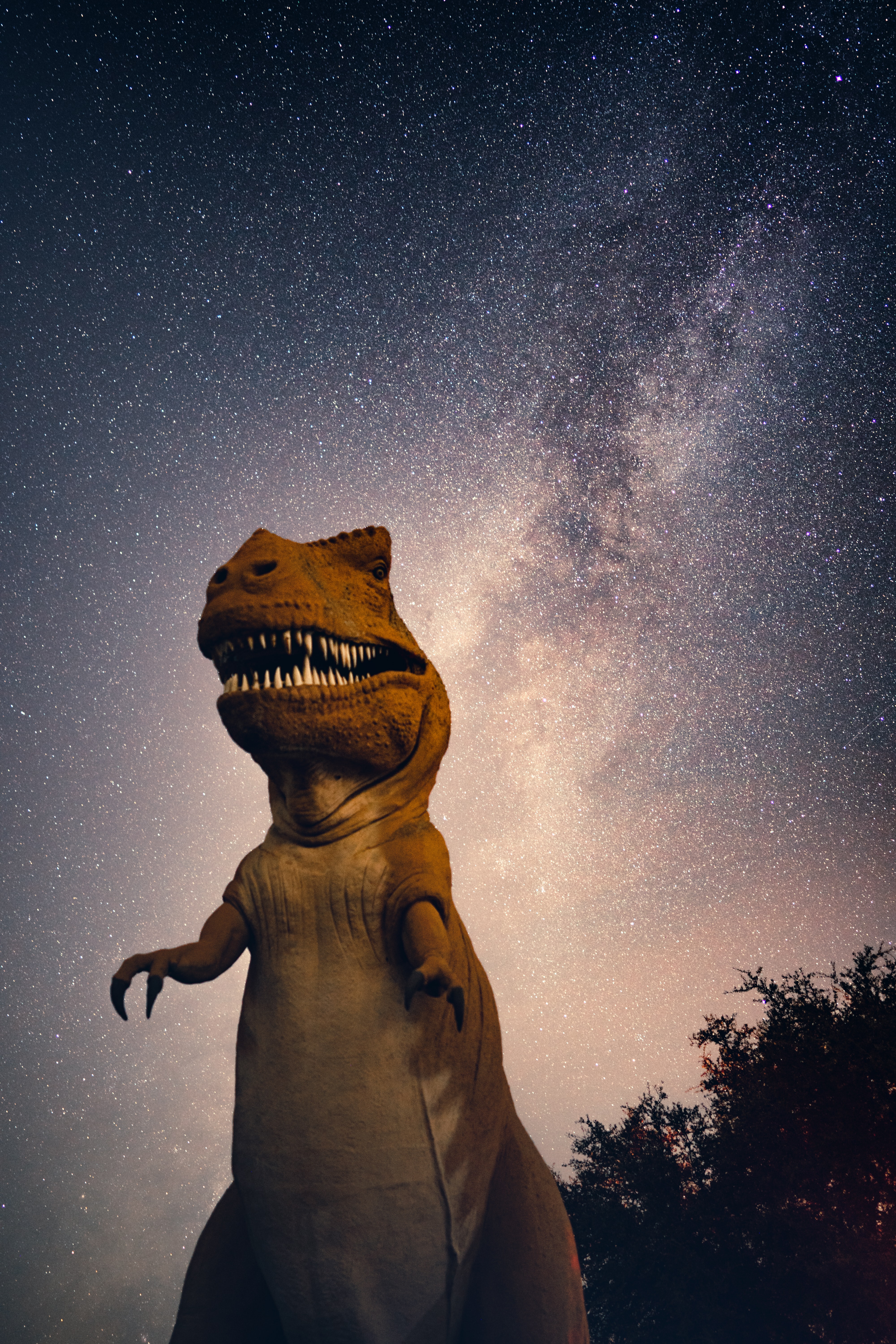 117224 Bildschirmschoner und Hintergrundbilder Dinosaurier auf Ihrem Telefon. Laden Sie übernachtung, sternenhimmel, sonstige, verschiedenes Bilder kostenlos herunter