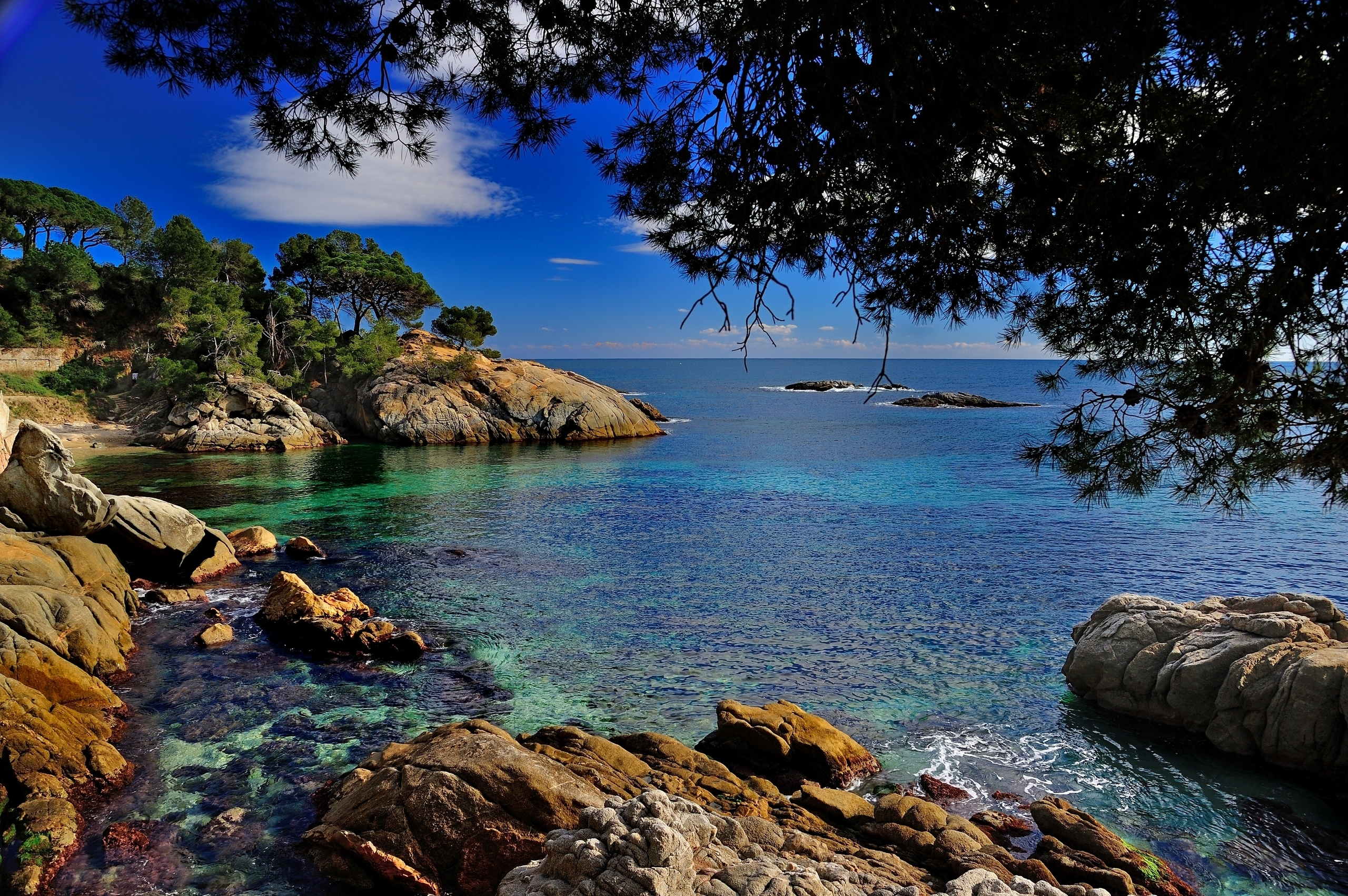 Laden Sie das Katalonien, Natur, Stones, Küste, Geäst, Zweige, Spanien, Mittelmeer, Costa Brava-Bild kostenlos auf Ihren PC-Desktop herunter
