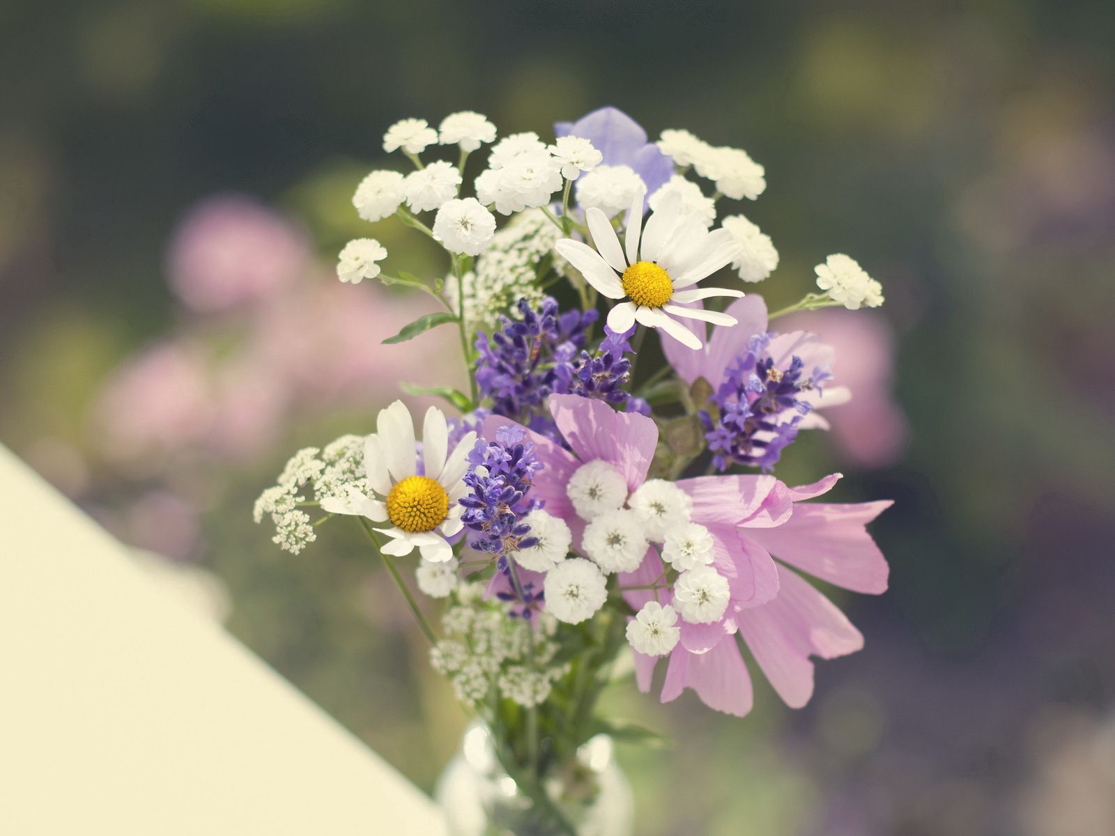 bouquet, flowers, sharpness, field New Lock Screen Backgrounds