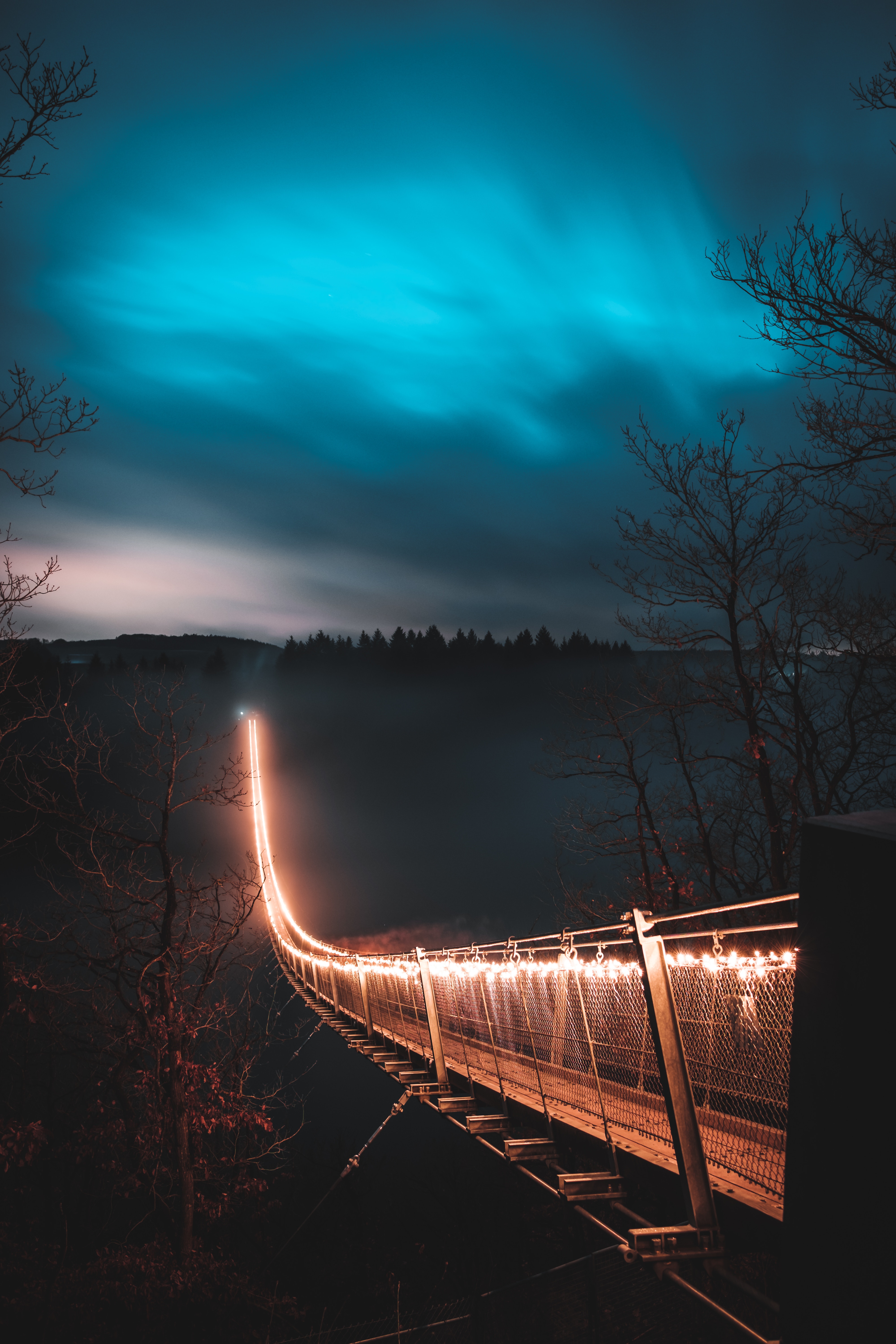 night, bridge, trees, fog HD photos