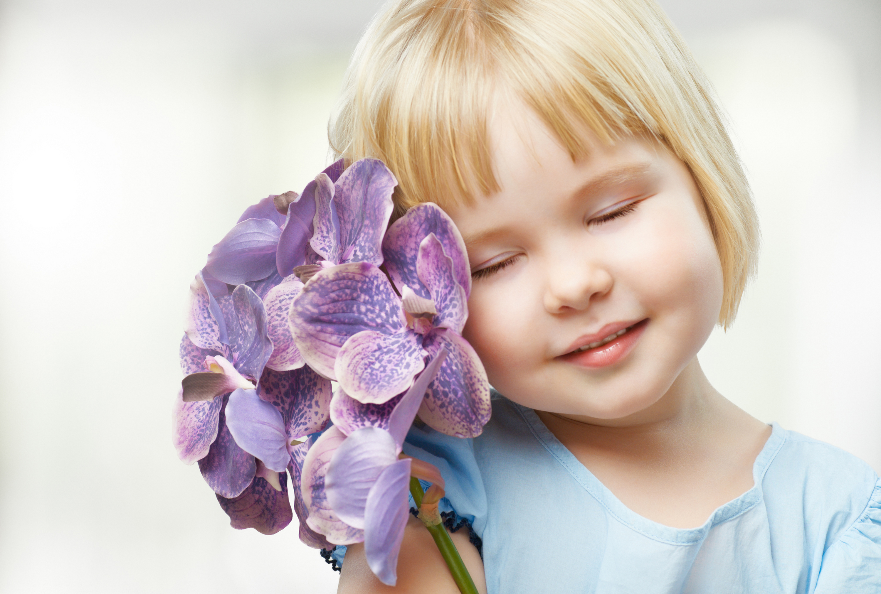Purple Flower  Free Stock Photos