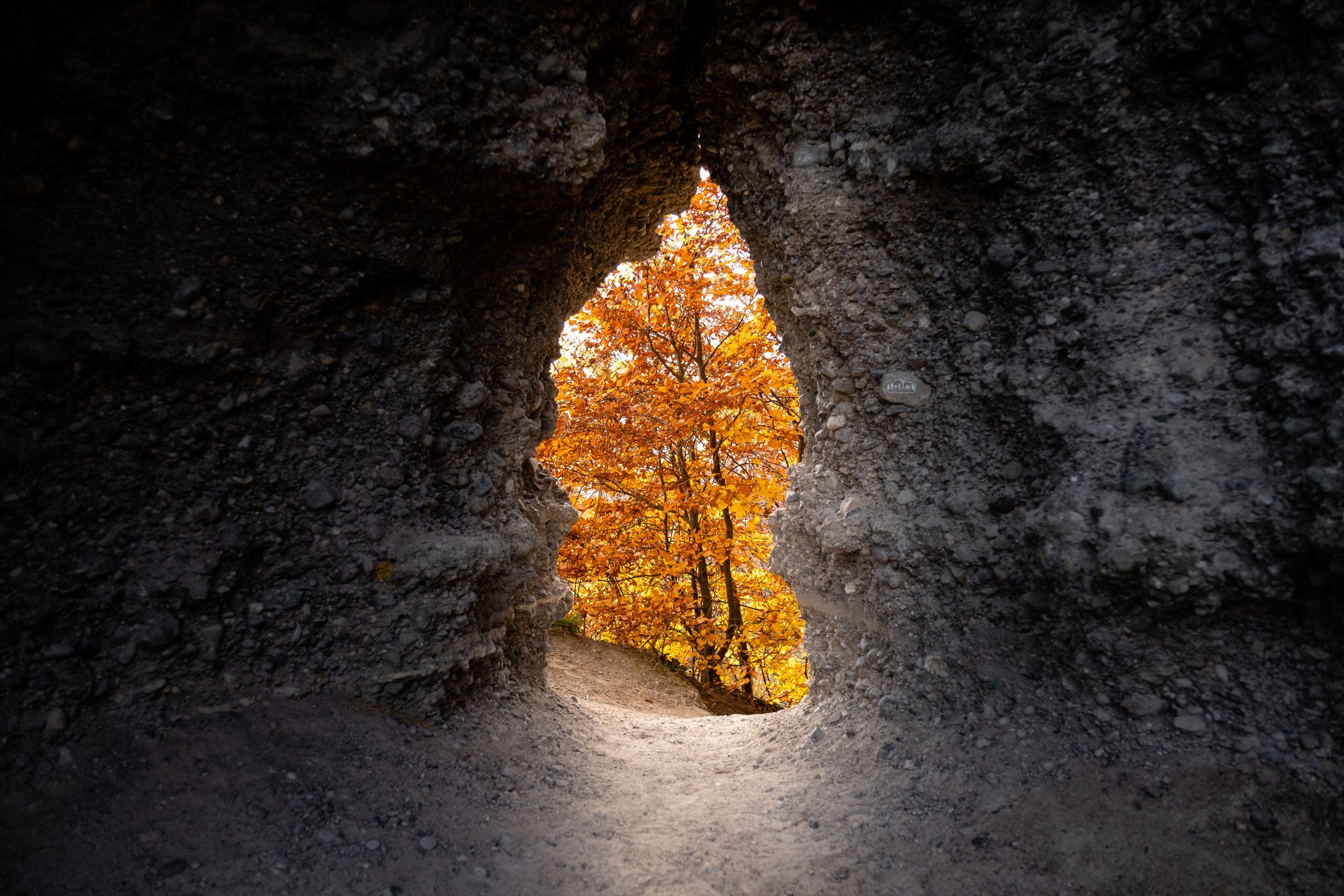 Download mobile wallpaper: Cave, Trees, Autumn, Nature, free. 55383.