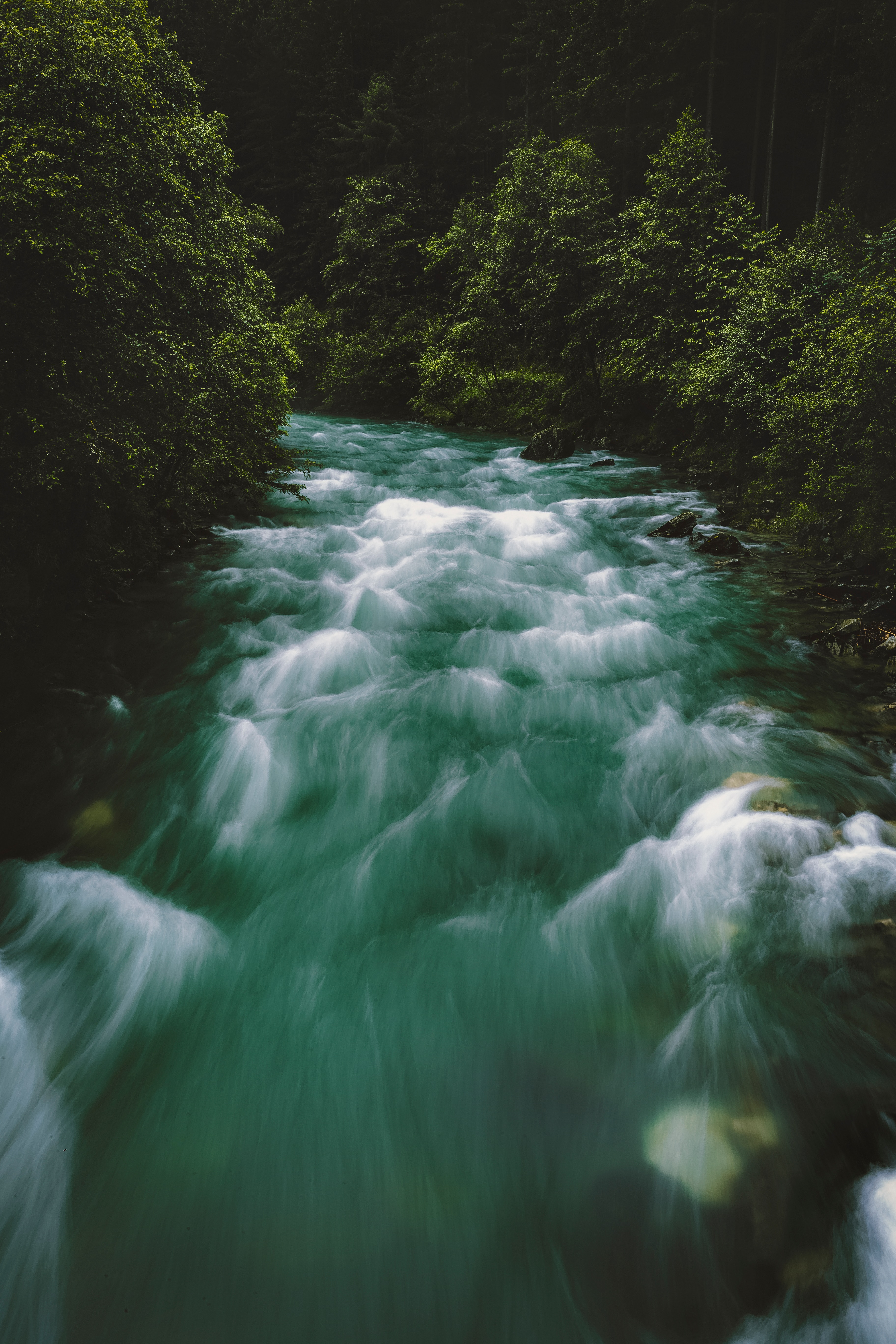 121756 Screensavers and Wallpapers Flow for phone. Download nature, rivers, trees, forest, flow pictures for free